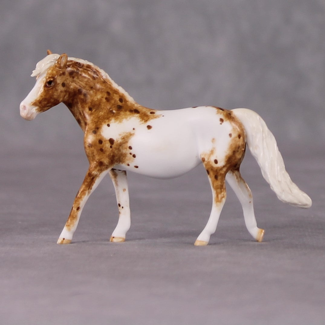 Tony OOAK Chestnut Appy Pony Chip By Andrea Thomason HS24 MHP Auction Piece