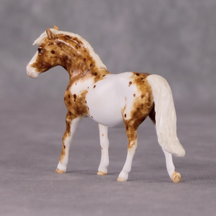 Tony OOAK Chestnut Appy Pony Chip By Andrea Thomason HS24 MHP Auction Piece
