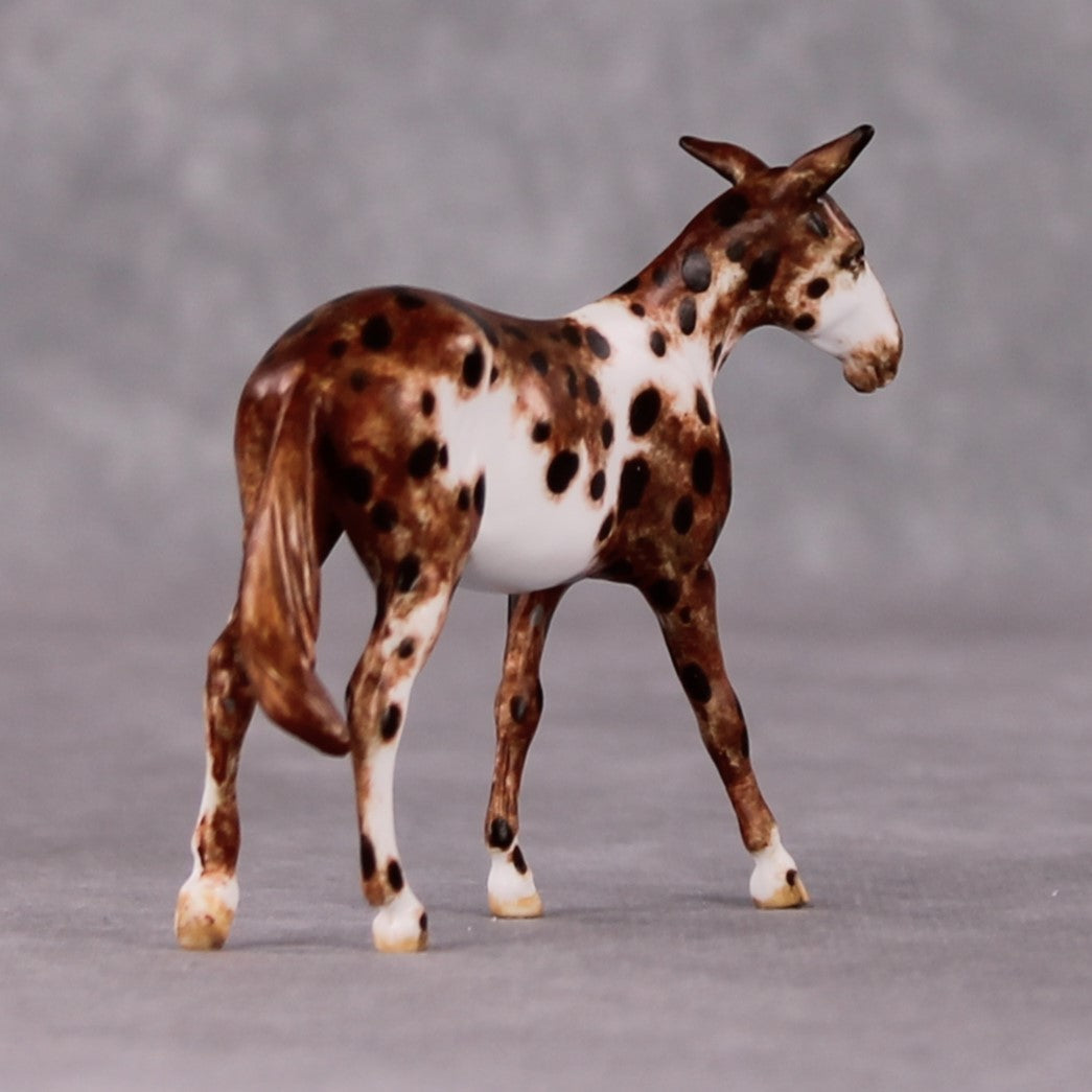 Oakum OOAK Chestnut Appy Mule Chip By Andrea Thomason HS24 MHP Auction Piece