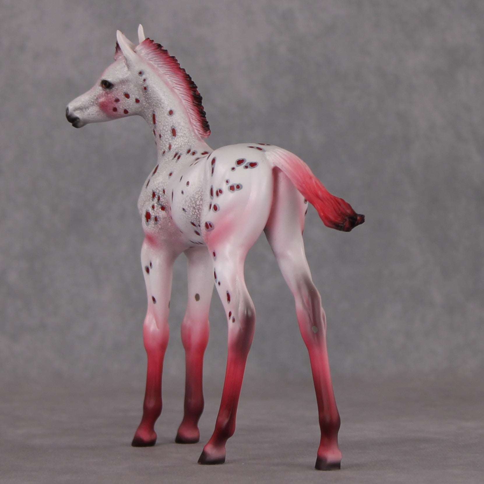 Peppermint Sweet OOAK Red Appy Deco Arab Foal By Dawn Quick HS24