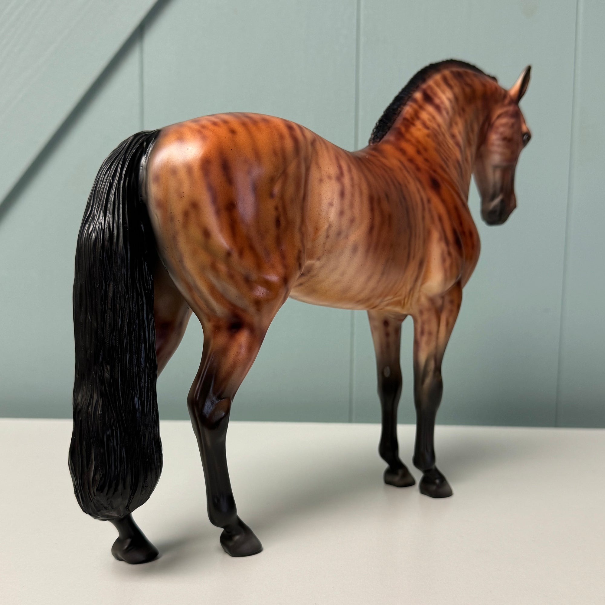 Yara OOAK Brindle Bay Andalusian By Dawn Quick EQ24