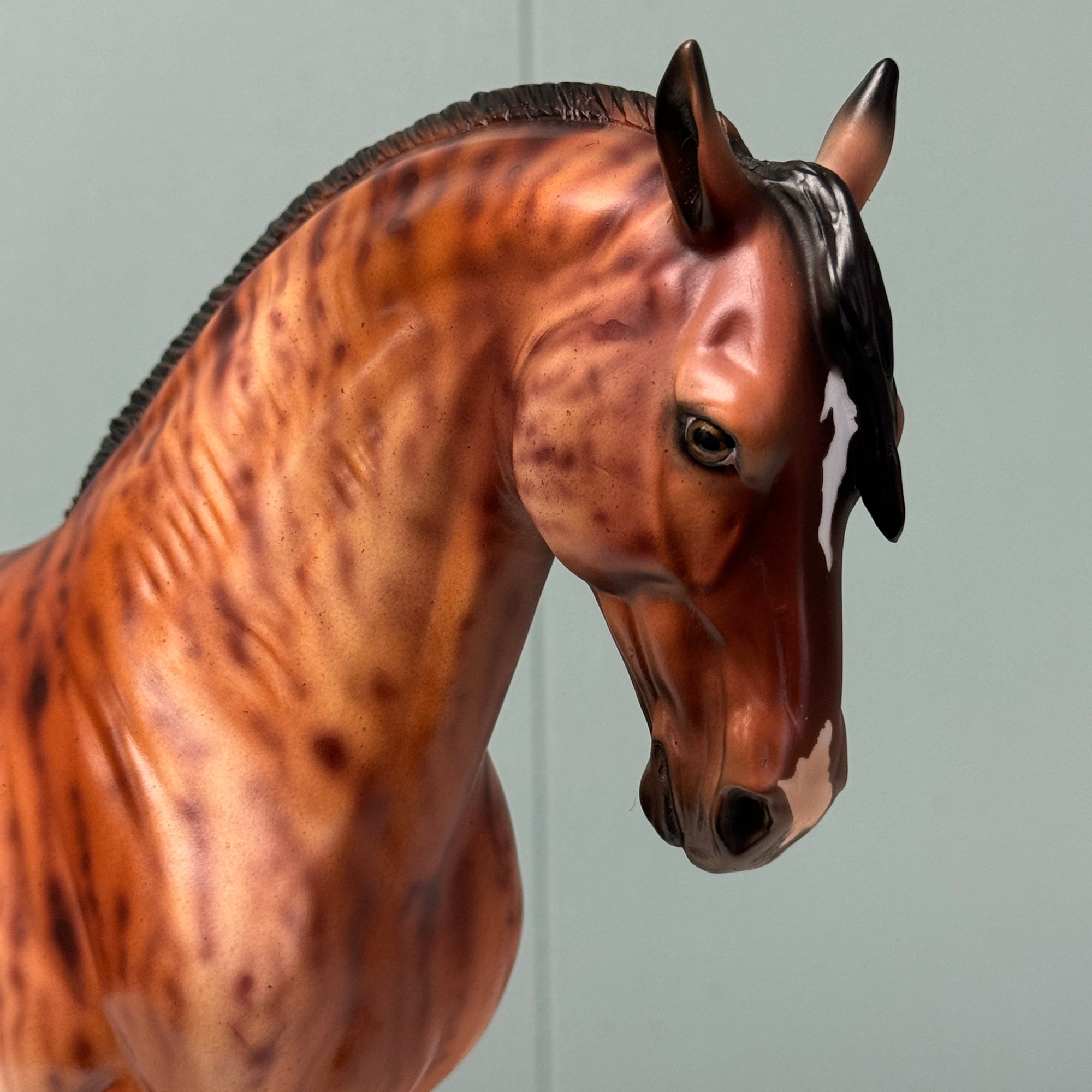 Yara OOAK Brindle Bay Andalusian By Dawn Quick EQ24