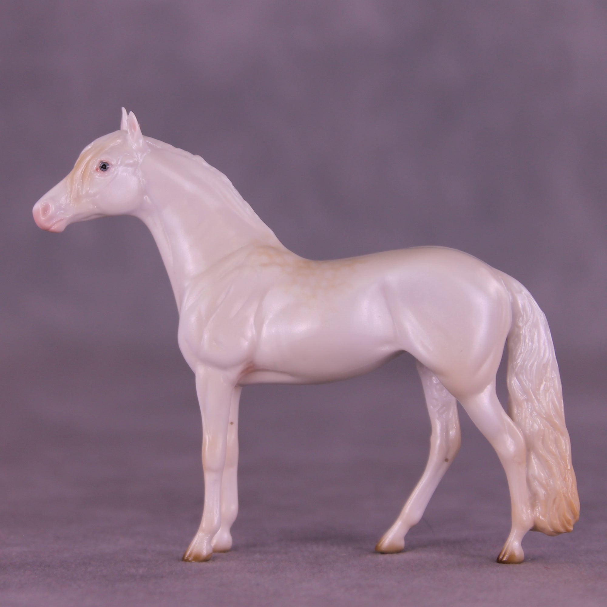 Glossy Nothing More LE-5 FCM Chip Andalusian by Ellen Robbins YP26