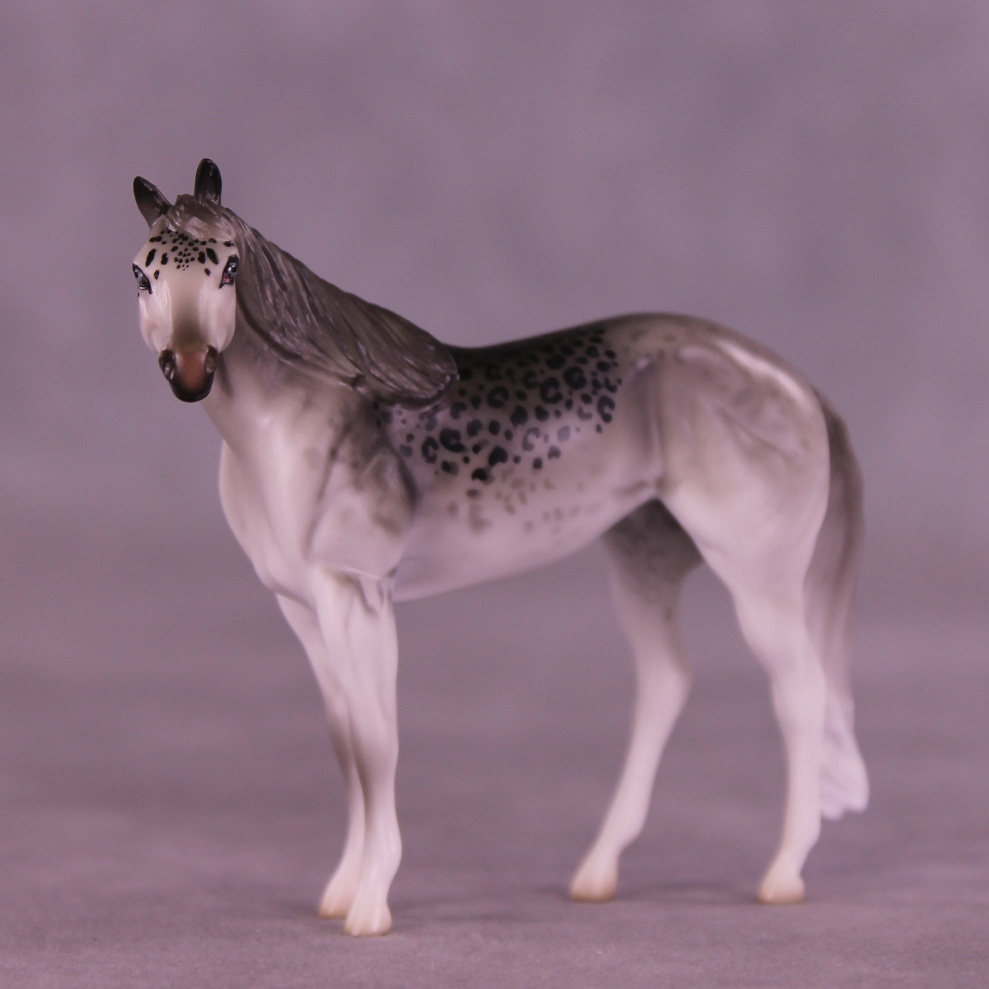 Mini Uncia OOAK EFCM Chip Stock Horse by Jess Hamill & Melanie Miller SCD26