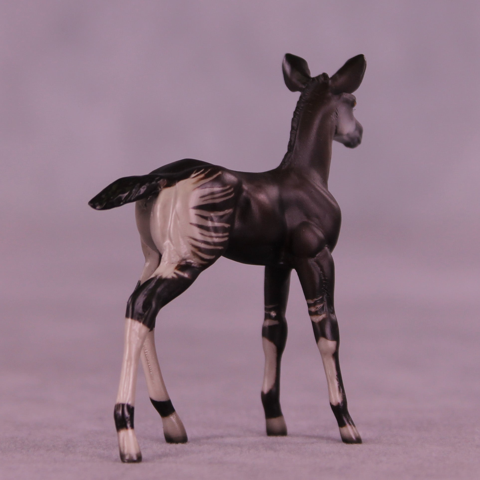Mini Mosi OOAK EFCM Chip Foal by Jess Hamill & Melanie Miller SCD26