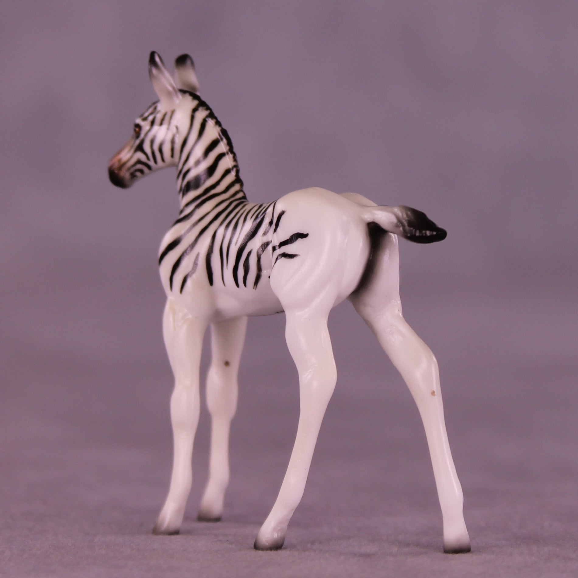 Mini Monife OOAK EFCM Chip Foal by Jess Hamill & Melanie Miller SCD26