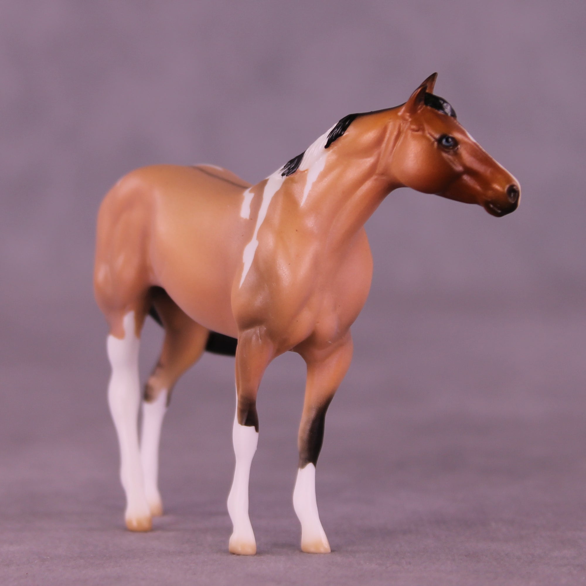 Mini Murphy's Law OOAK FCM Chip Stock Horse by Ellen Robbins & The Stone Horses Team SCD26