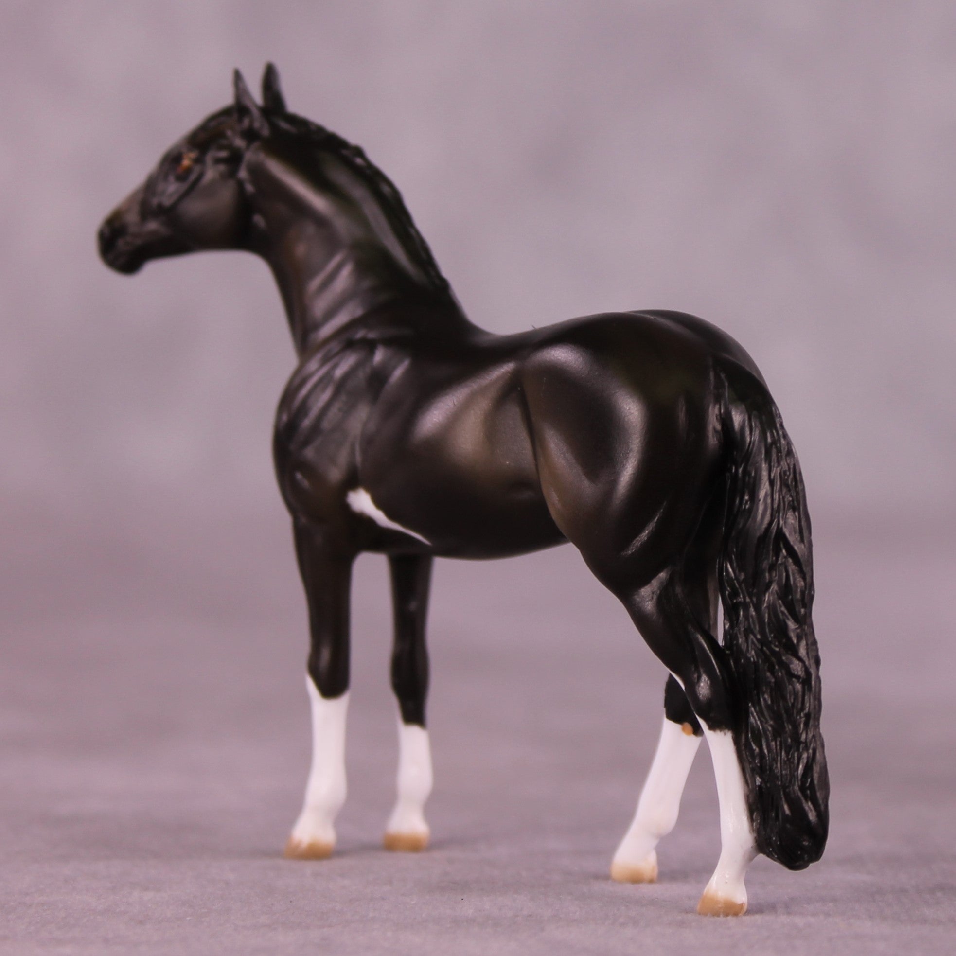 "All Star" OOAK Andalusian Chip by Julie Keim EQ25
