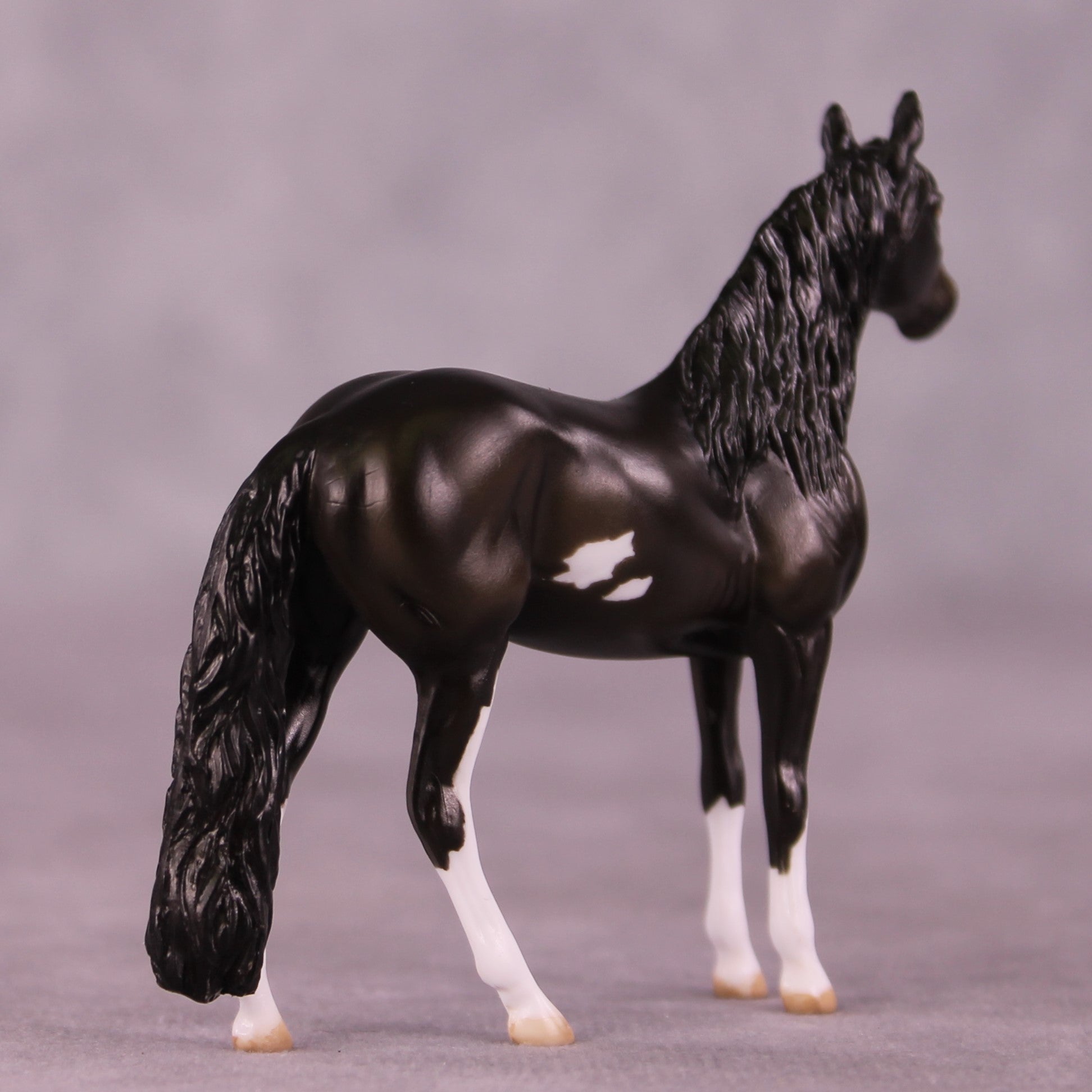 "All Star" OOAK Andalusian Chip by Julie Keim EQ25