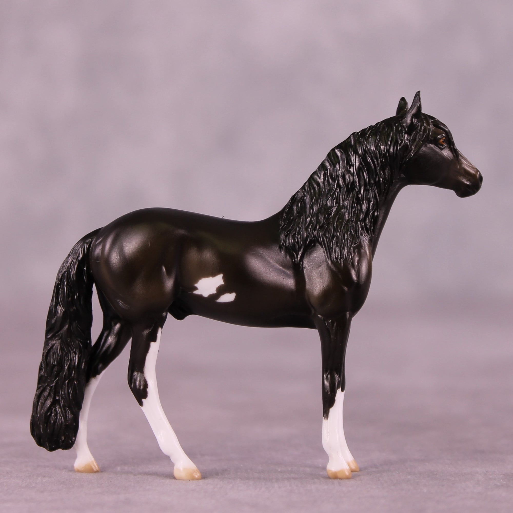 "All Star" OOAK Andalusian Chip by Julie Keim EQ25