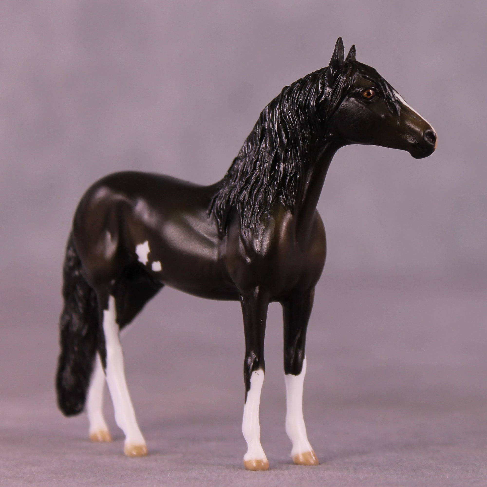 "All Star" OOAK Andalusian Chip by Julie Keim EQ25