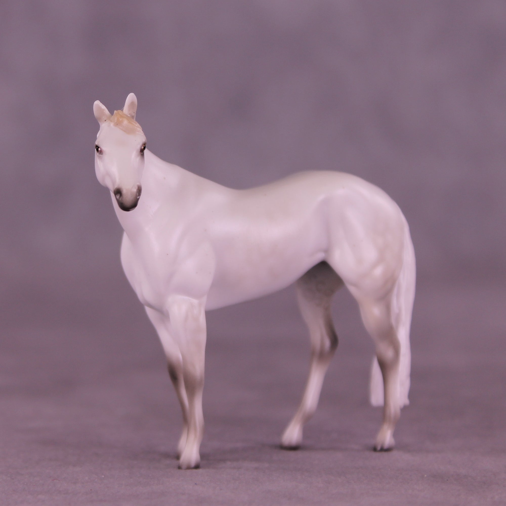 Mini Spica OOAK EFCM Chip Stock Horse by Ashley Palmer & Melanie Miller SCD26