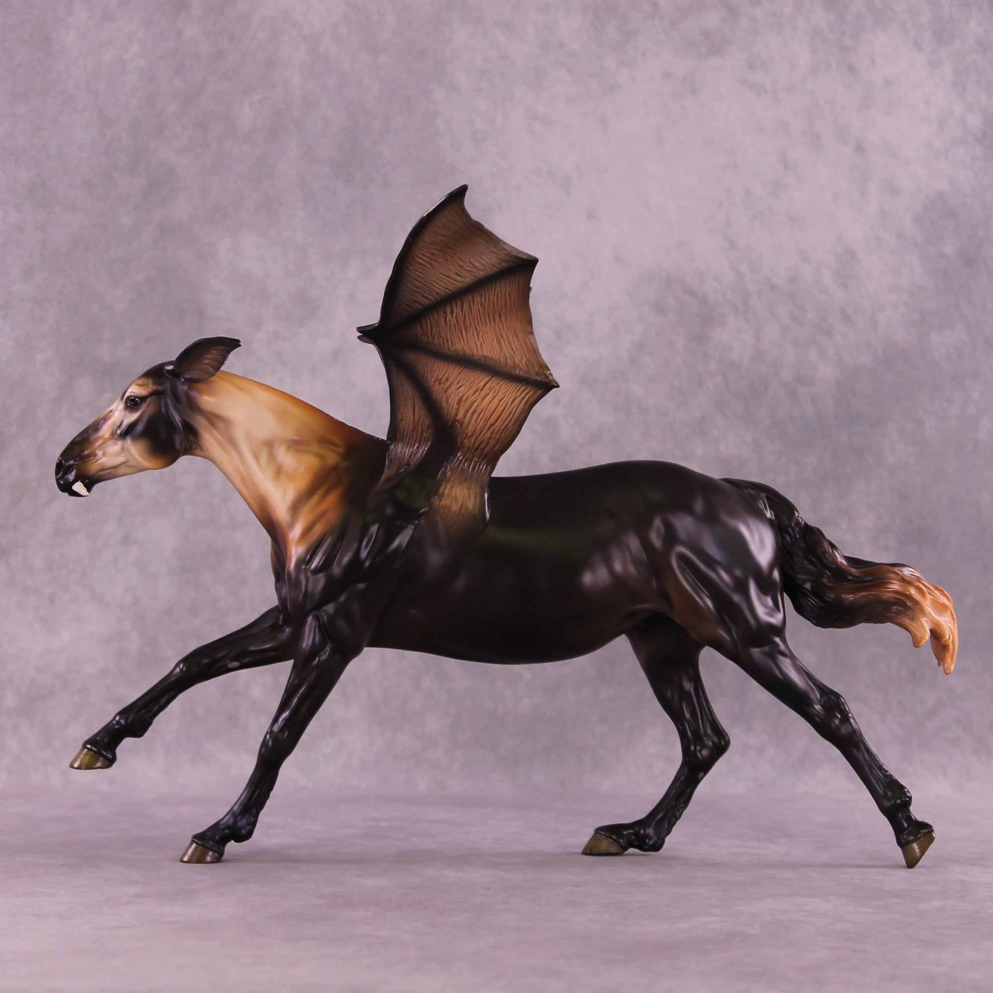 Black Bat: Ptero LE-5 EFCM Volo by Jess Hamill MM25