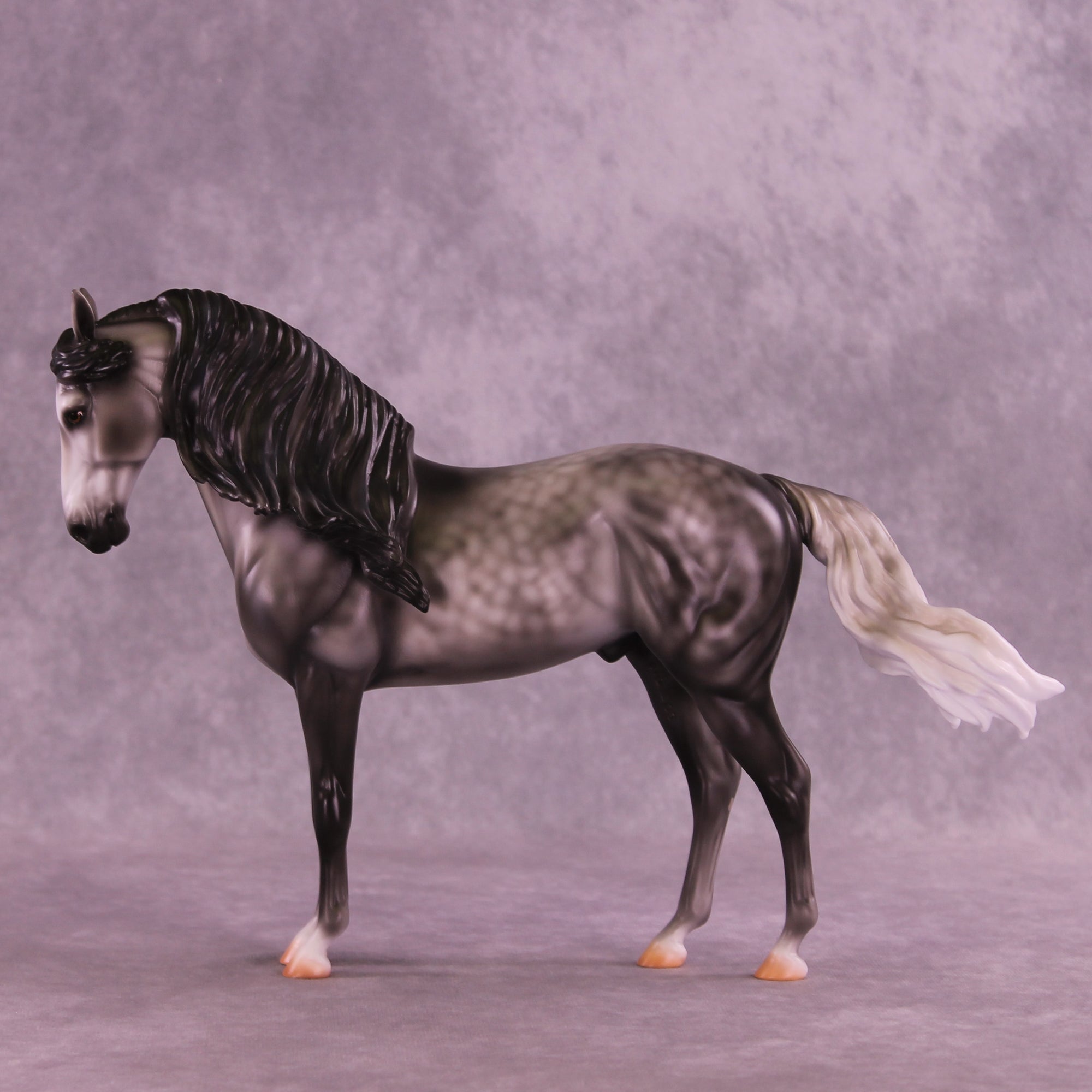 Fighting the Phantom OOAK FCM Andalusian by Carissa Mathews DDOOAKs26