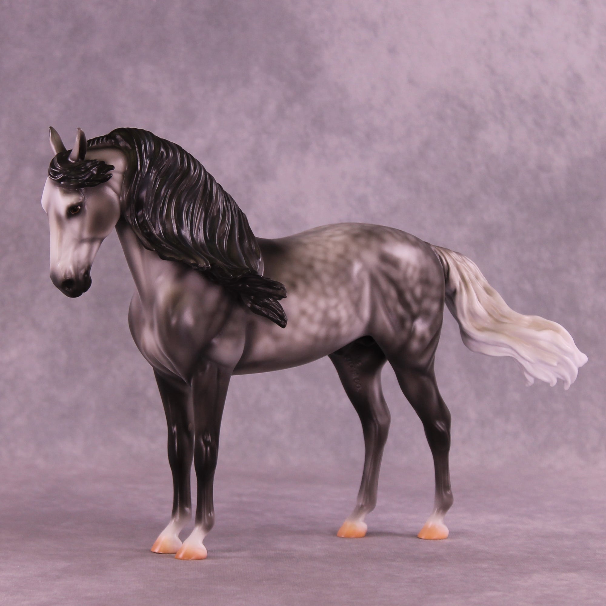 Fighting the Phantom OOAK FCM Andalusian by Carissa Mathews DDOOAKs26