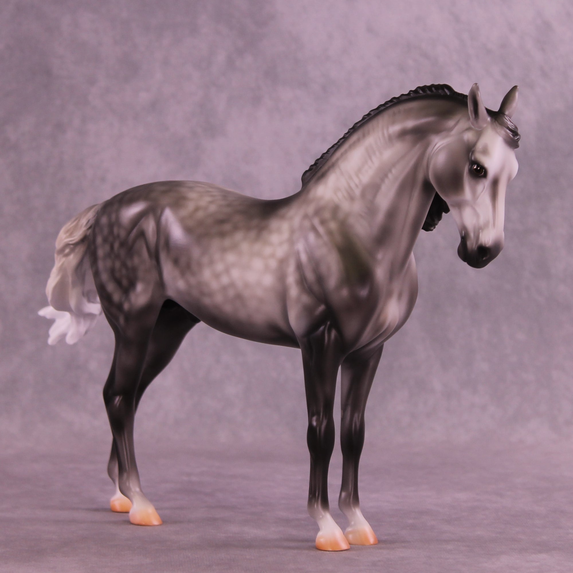 Fighting the Phantom OOAK FCM Andalusian by Carissa Mathews DDOOAKs26