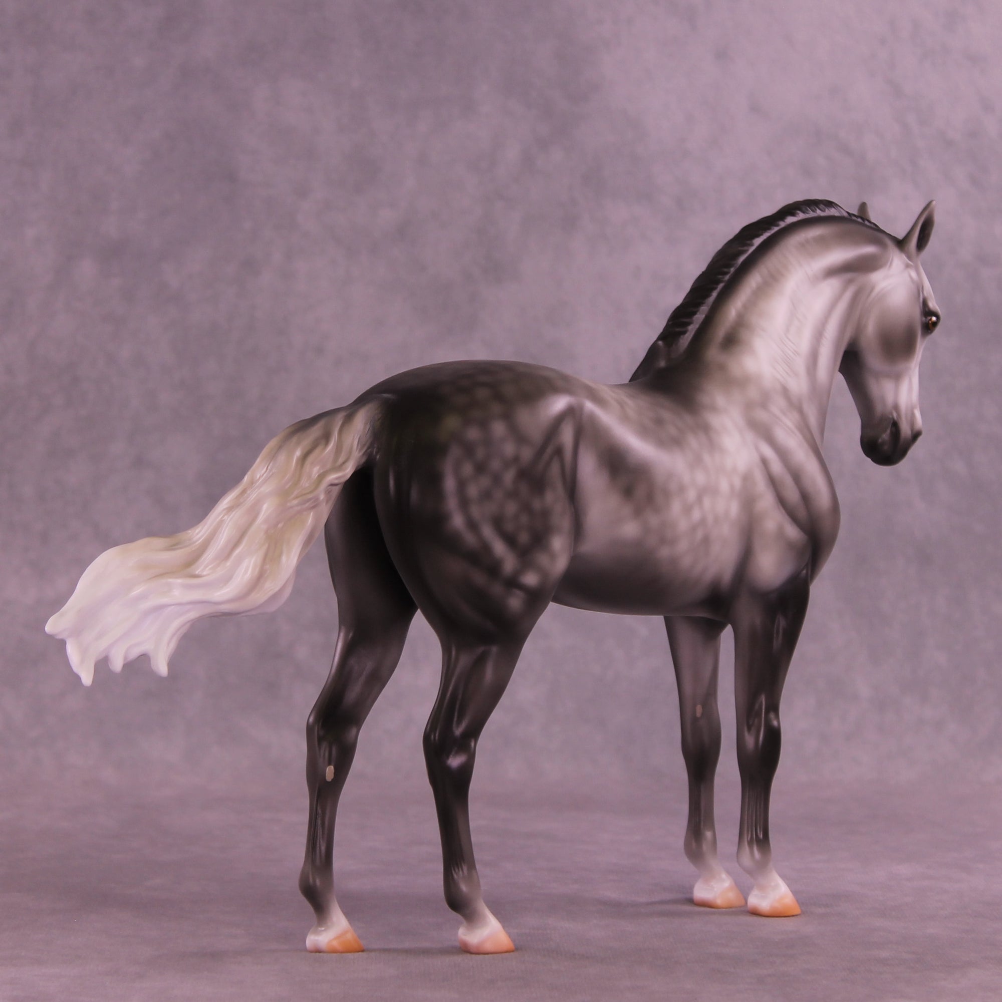 Fighting the Phantom OOAK FCM Andalusian by Carissa Mathews DDOOAKs26