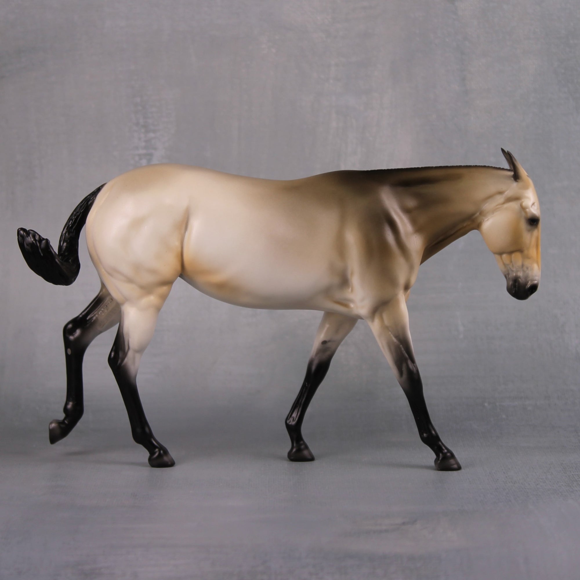 Meade LE 5 Customized Sooty Buckskin Pebble Mule By Ellen Robbins MM24 Run