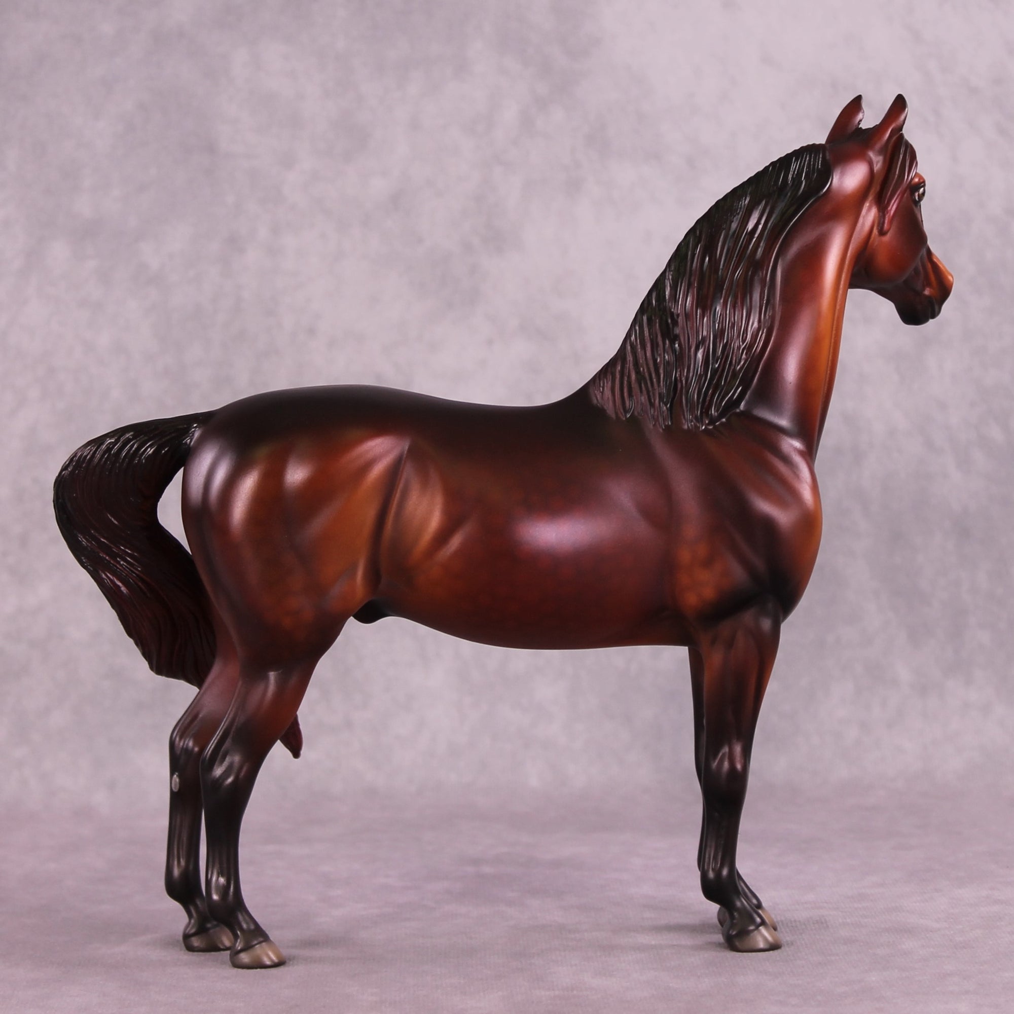 "Albert" NO FINISH CHANGE OOAK FCM Morgan Stallion by Dawn Quick and Erin Corbett EQ25