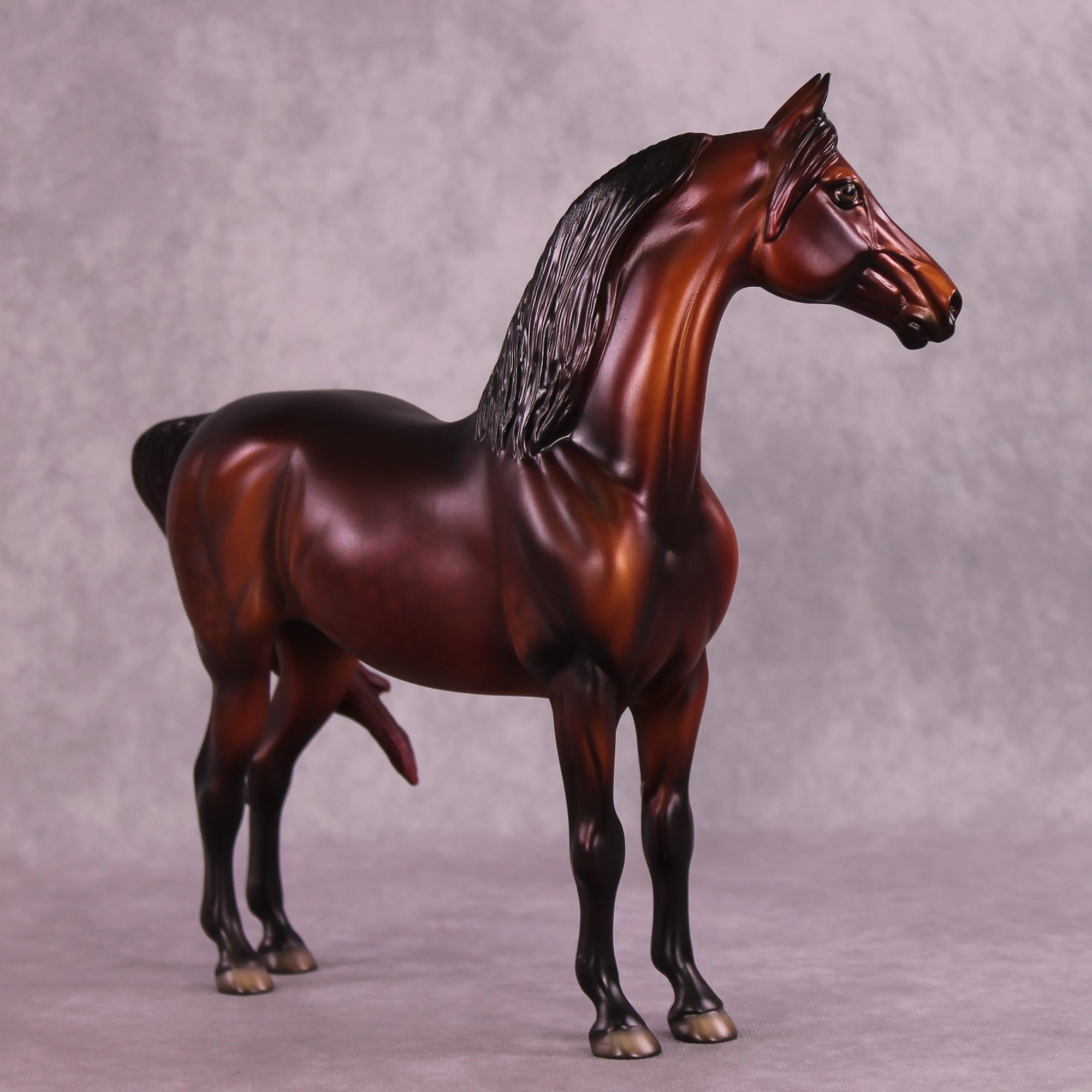 "Albert" NO FINISH CHANGE OOAK FCM Morgan Stallion by Dawn Quick and Erin Corbett EQ25