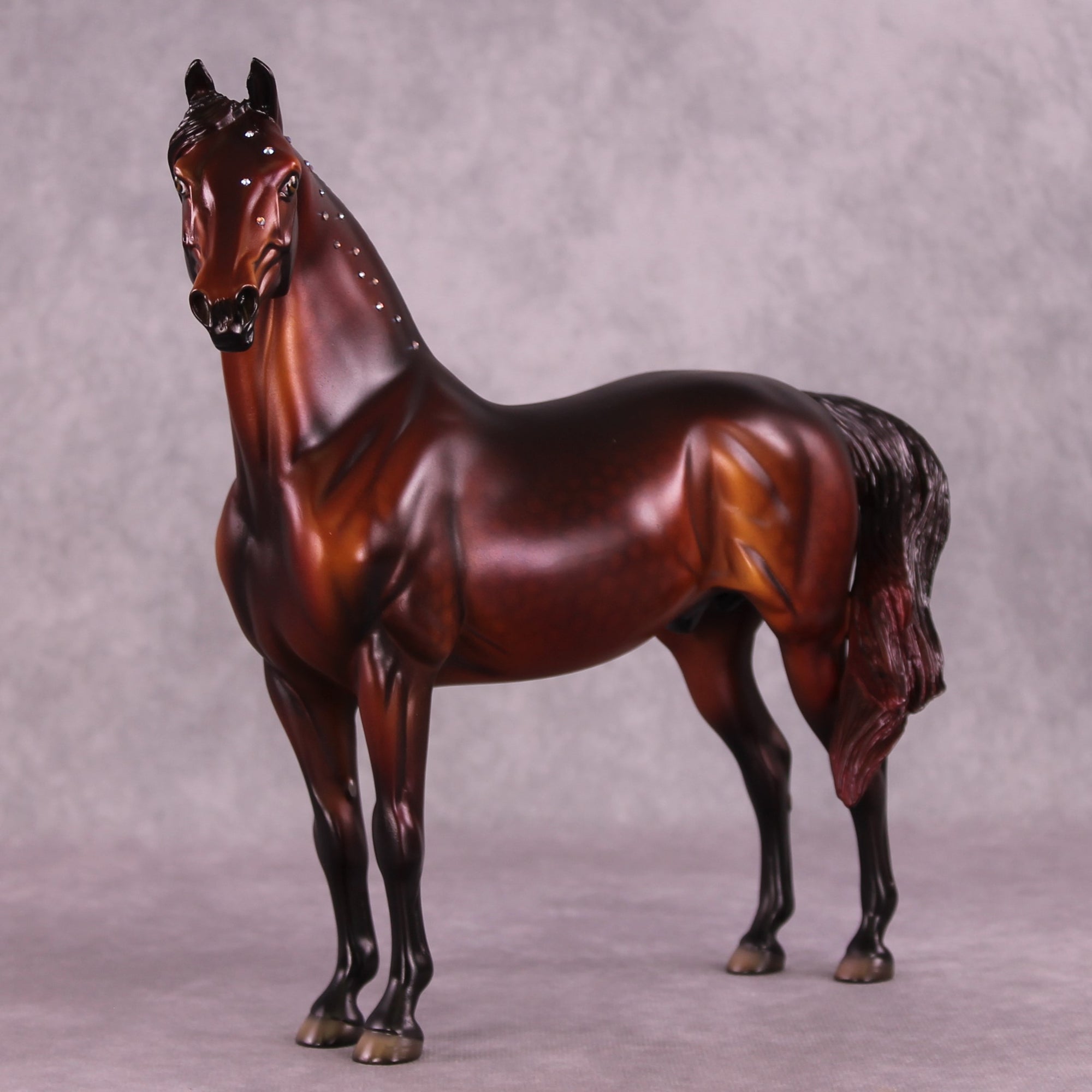 "Albert" NO FINISH CHANGE OOAK FCM Morgan Stallion by Dawn Quick and Erin Corbett EQ25