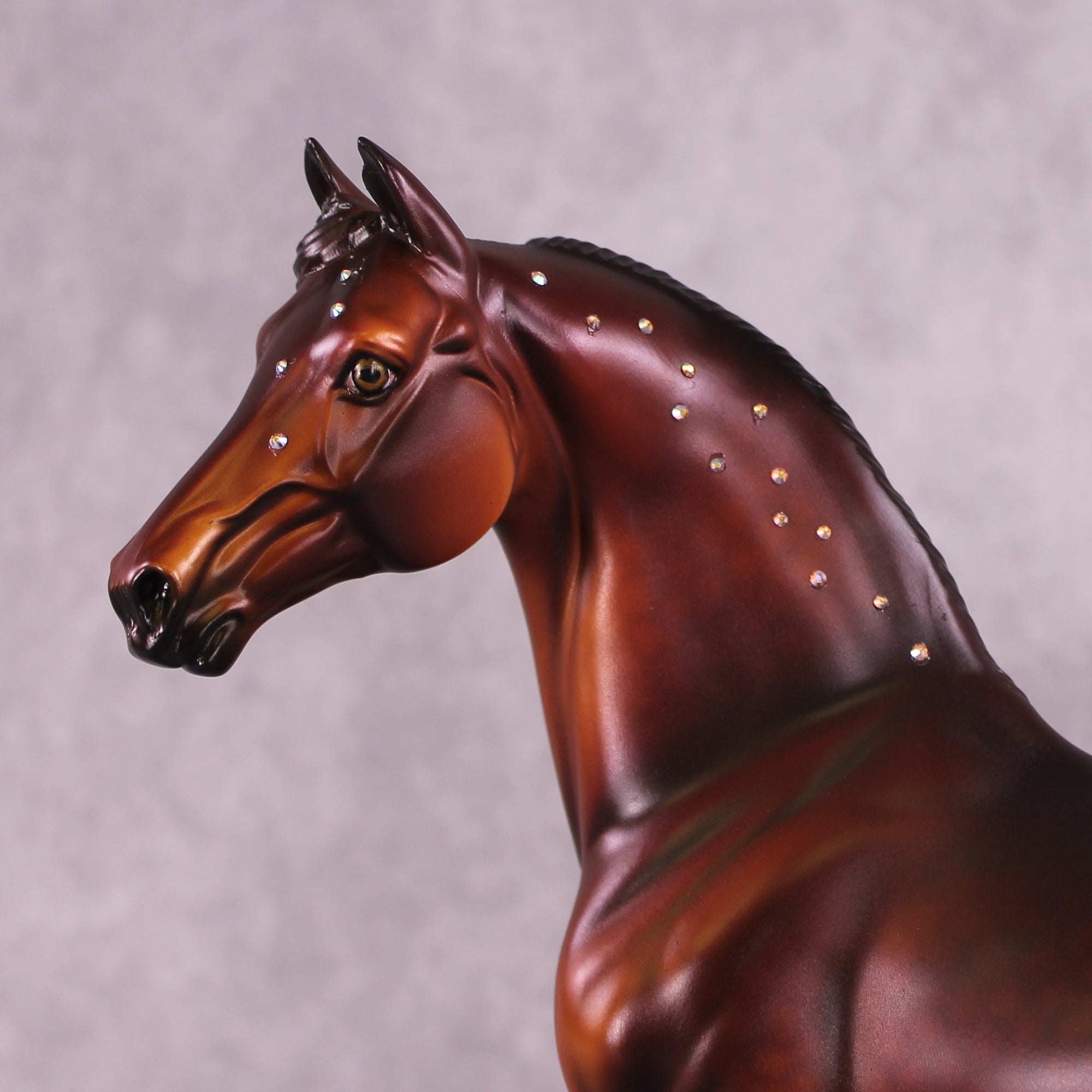 "Albert" NO FINISH CHANGE OOAK FCM Morgan Stallion by Dawn Quick and Erin Corbett EQ25
