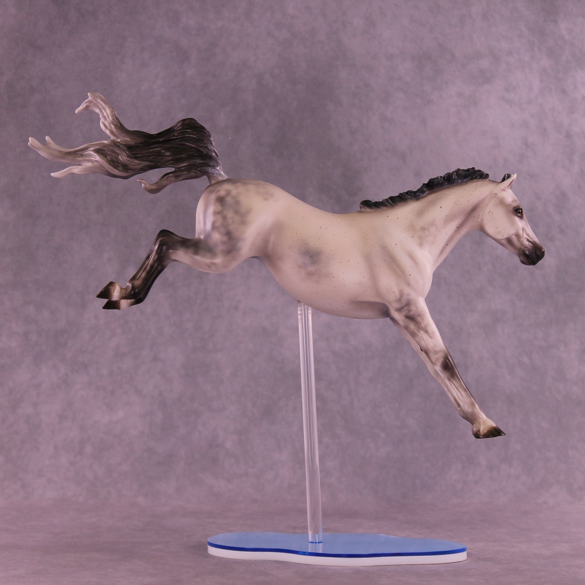 Dayzie LE-5 FCM Jumping Sport Horse by Melanie Miller TO26