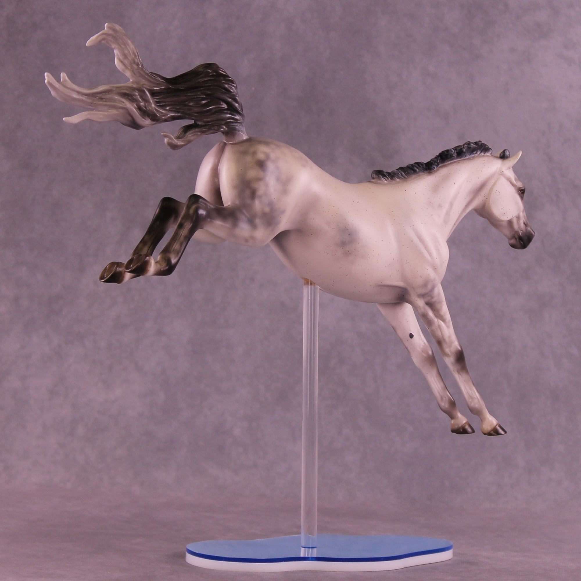 Dayzie LE-5 FCM Jumping Sport Horse by Melanie Miller TO26