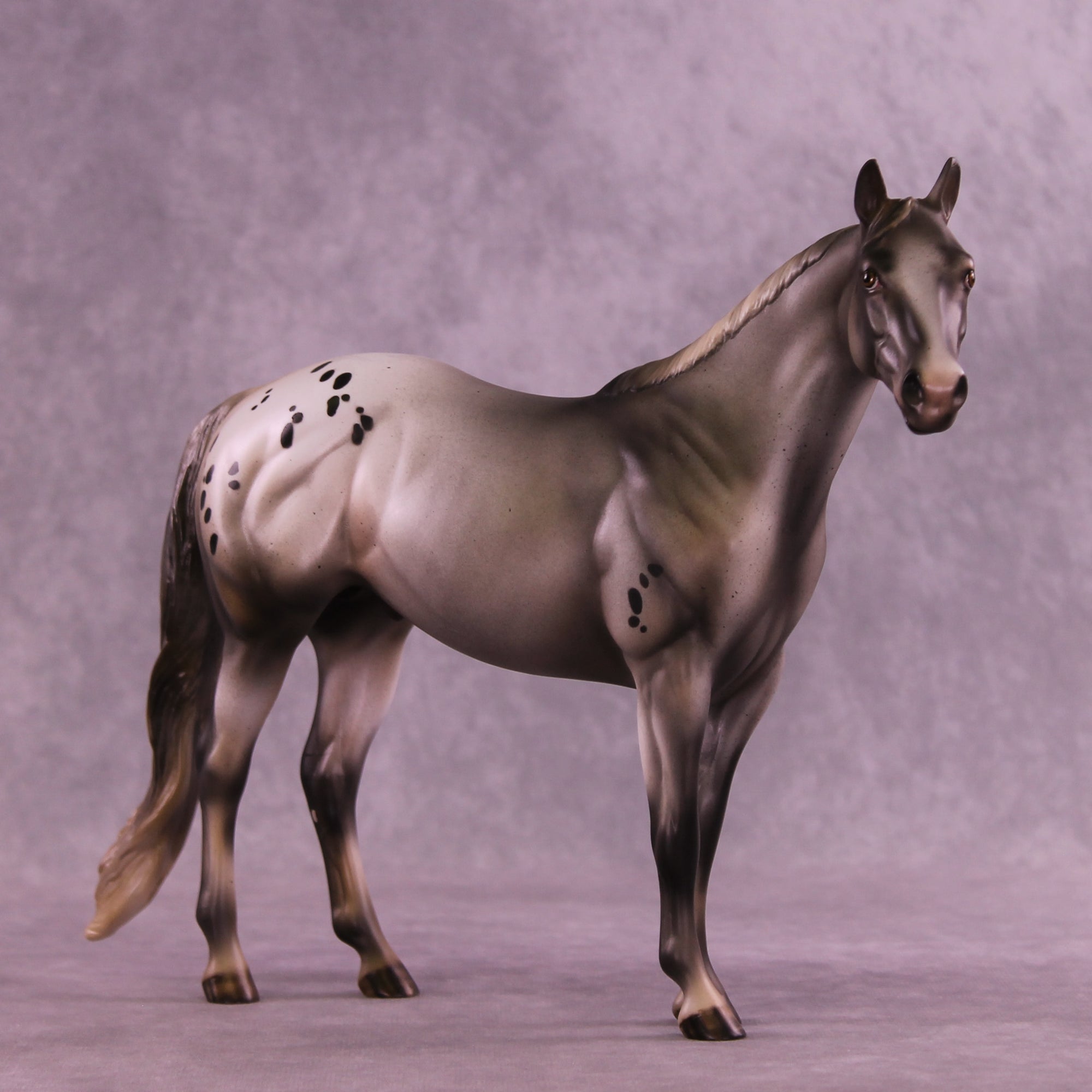 Dryer Sheet OOAK Ideal Stock Horse by Julie Keim DDOOAKs26