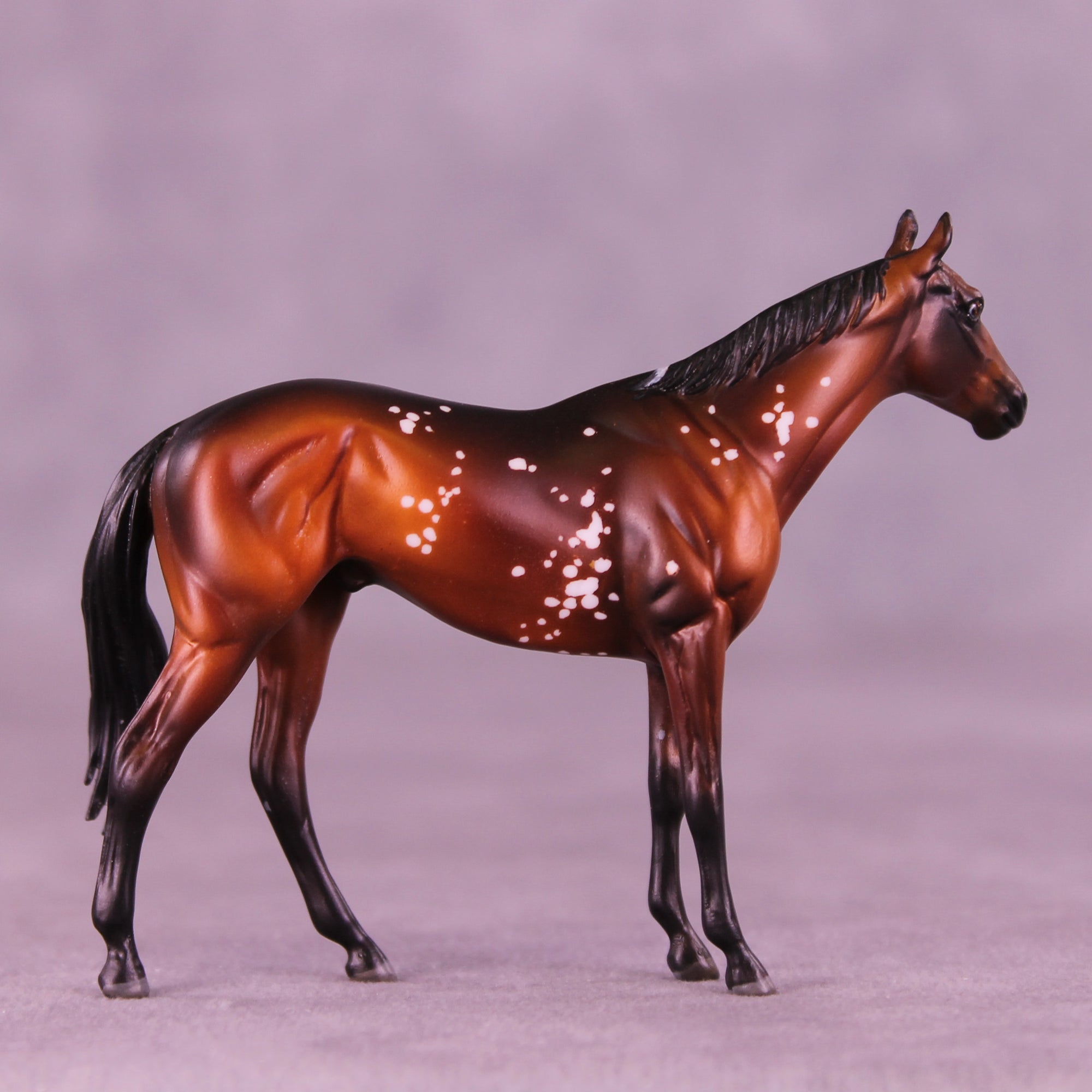 52 Free Thoroughbreds Blind Bag 10 OOAK Chip Thoroughbreds by Melanie Miller TO26