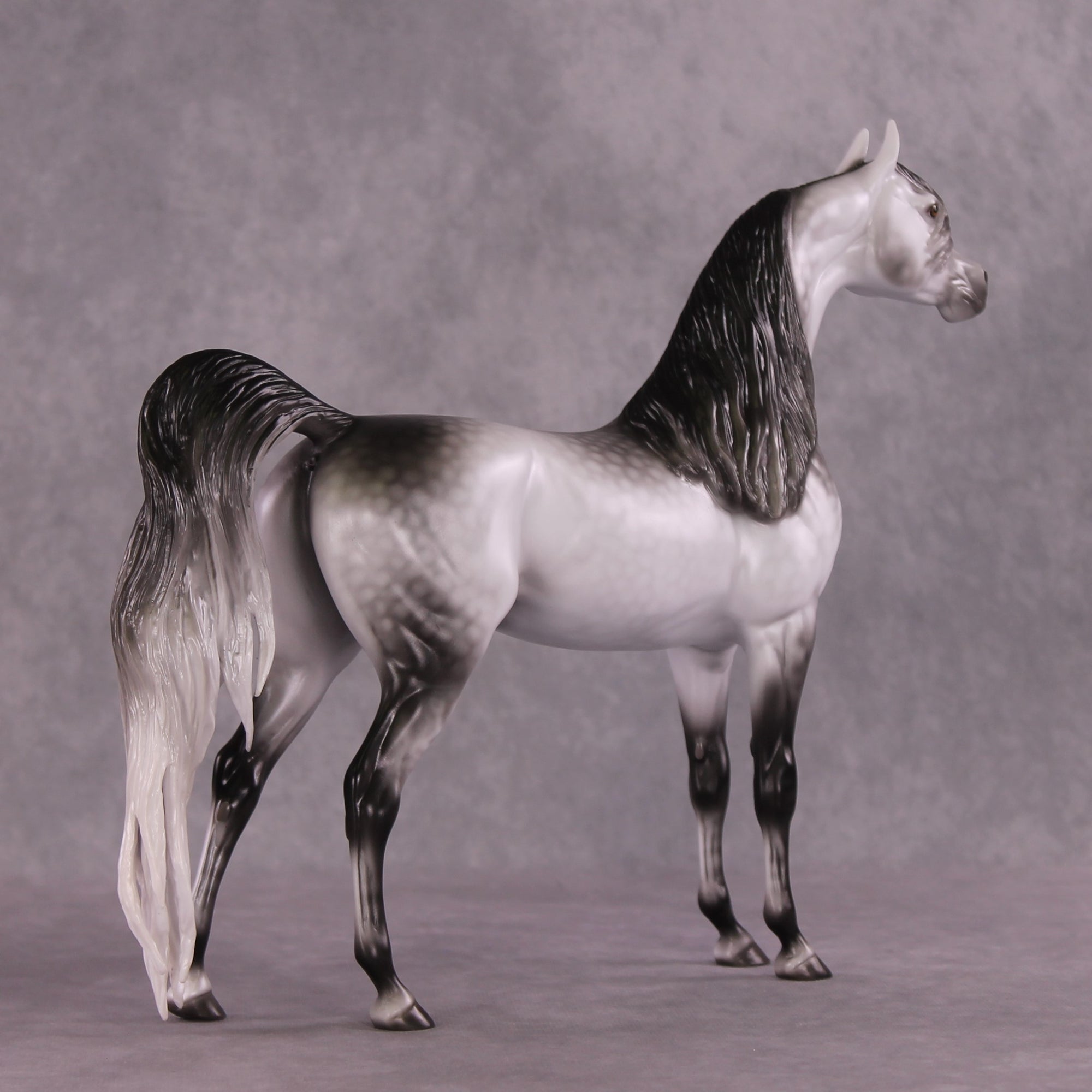"Amadeus" LE-5 EFCM Arabian Stallion By Ellen Robbins SHCF25OS Run
