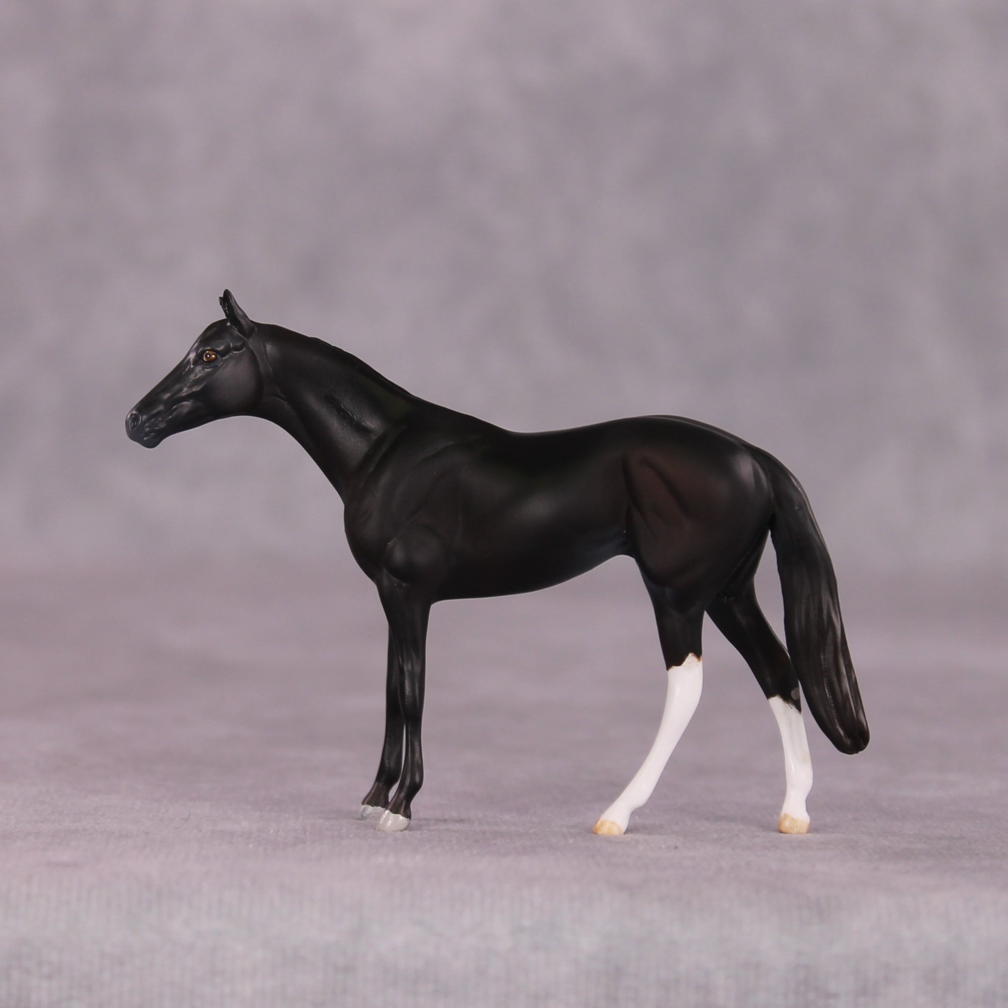 "Alacrity" OOAK Thoroughbred Chip by Anna Rieck SHCF25OS