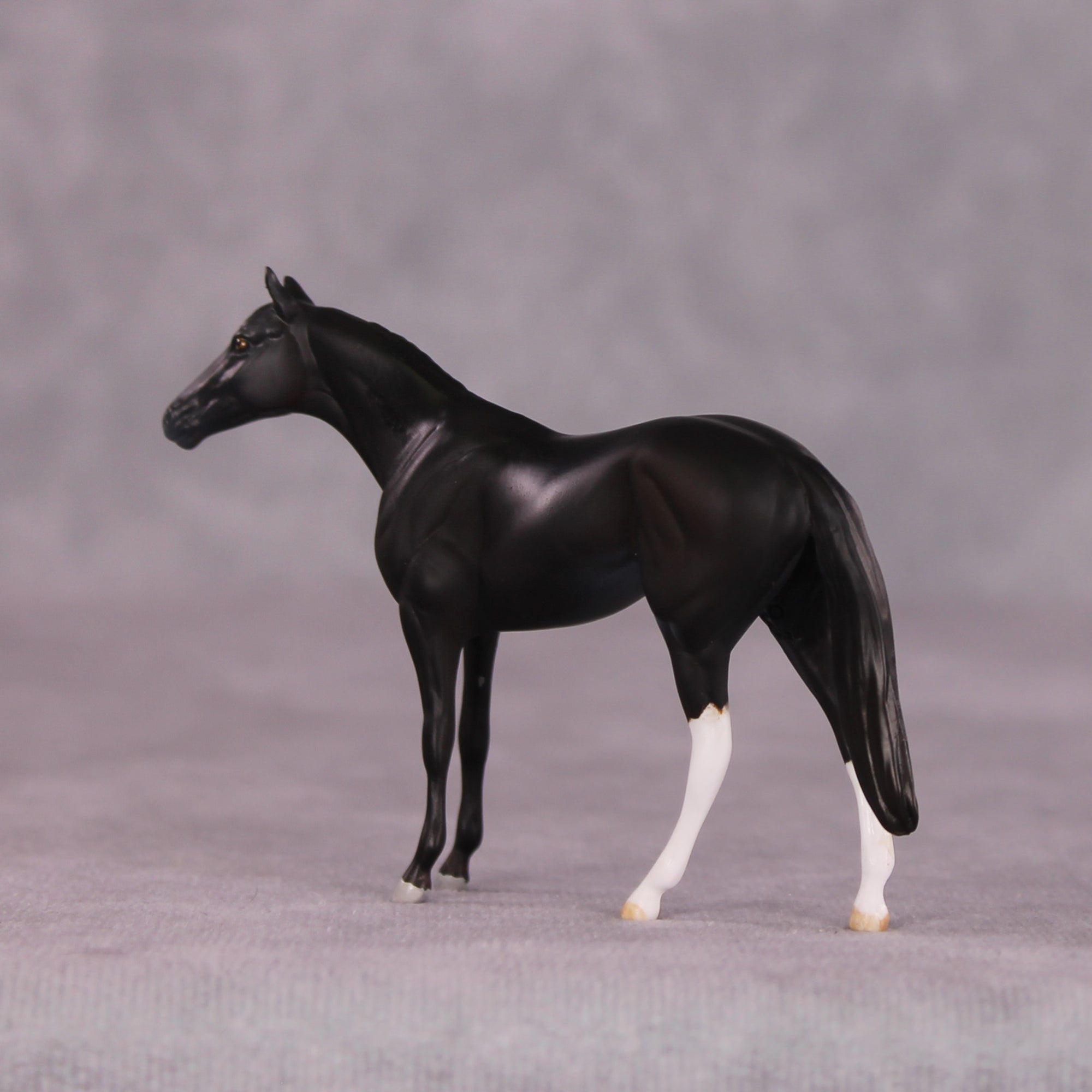 "Alacrity" OOAK Thoroughbred Chip by Anna Rieck SHCF25OS