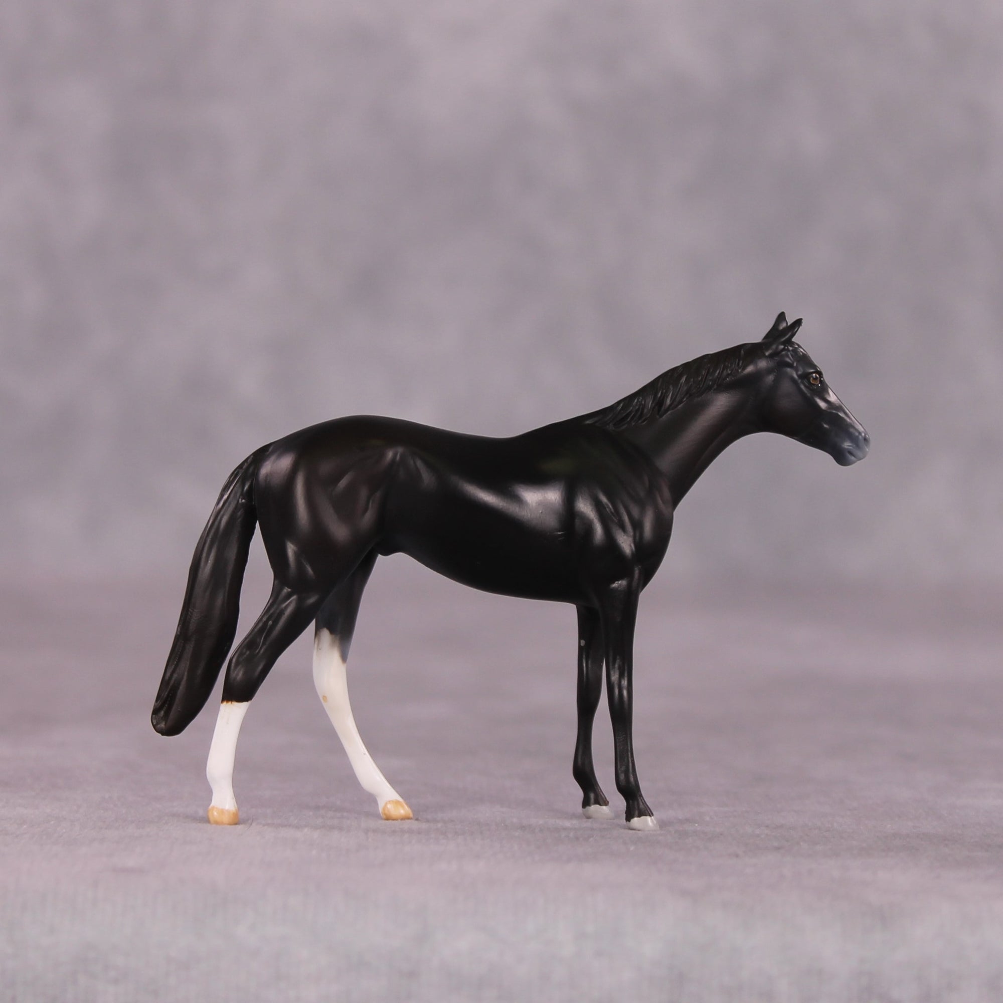 "Alacrity" OOAK Thoroughbred Chip by Anna Rieck SHCF25OS