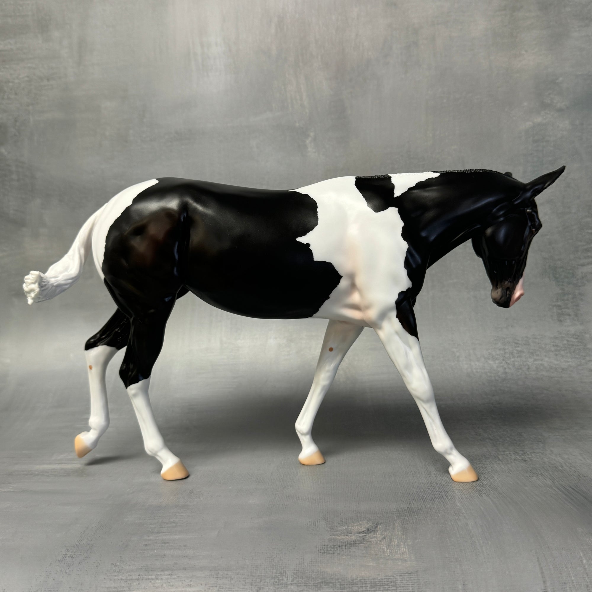 End of Month Sale - Kloissonne Black Tobiano Custom Mule By Angela Marleau SS824