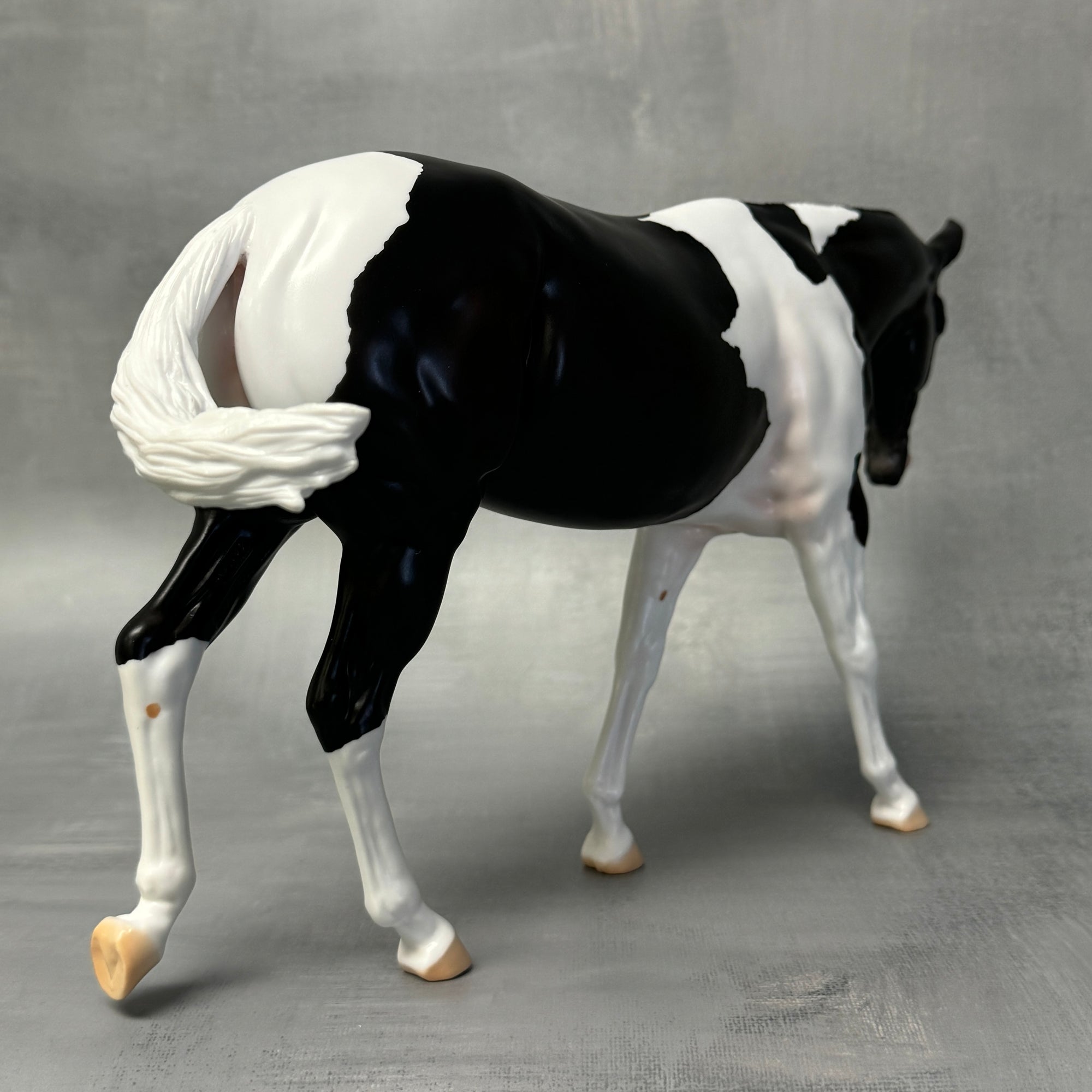 End of Month Sale - Kloissonne Black Tobiano Custom Mule By Angela Marleau SS824