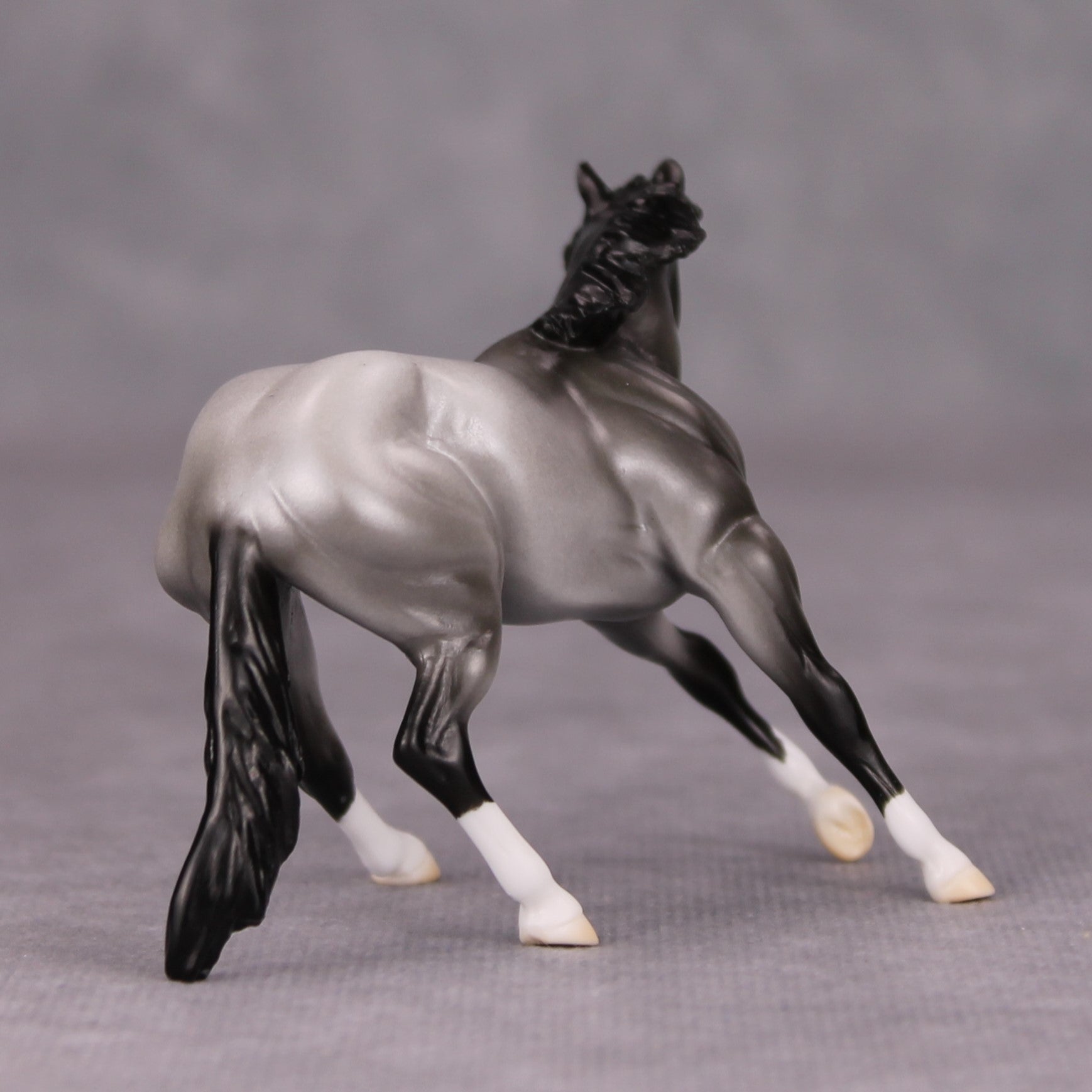 Mirrors On The Ceiling OOAK Blue Roan Cutter Chip By Ellen Robbins MM24