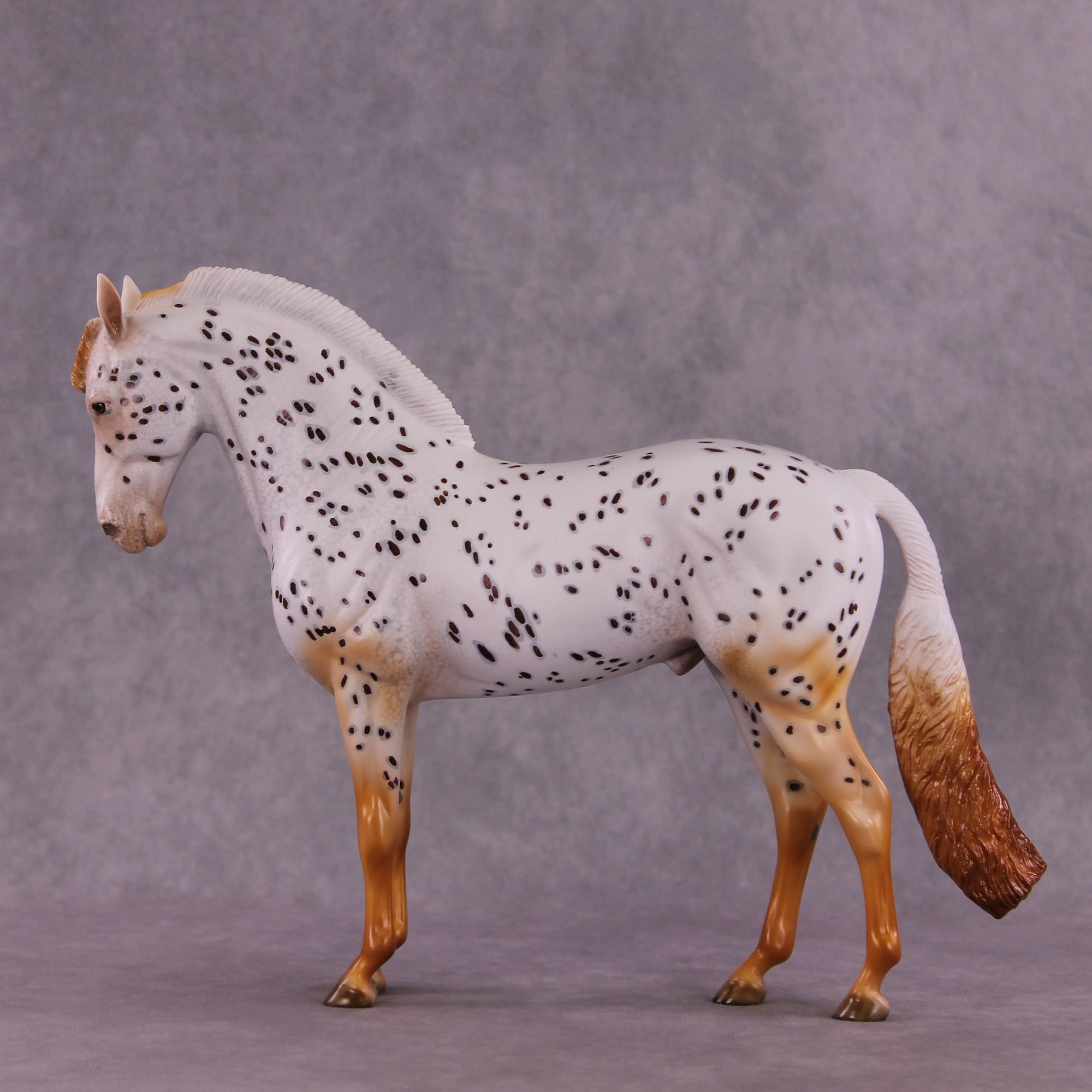 "Achiote" OOAK FCM Andalusian by Julie Keim EQ25