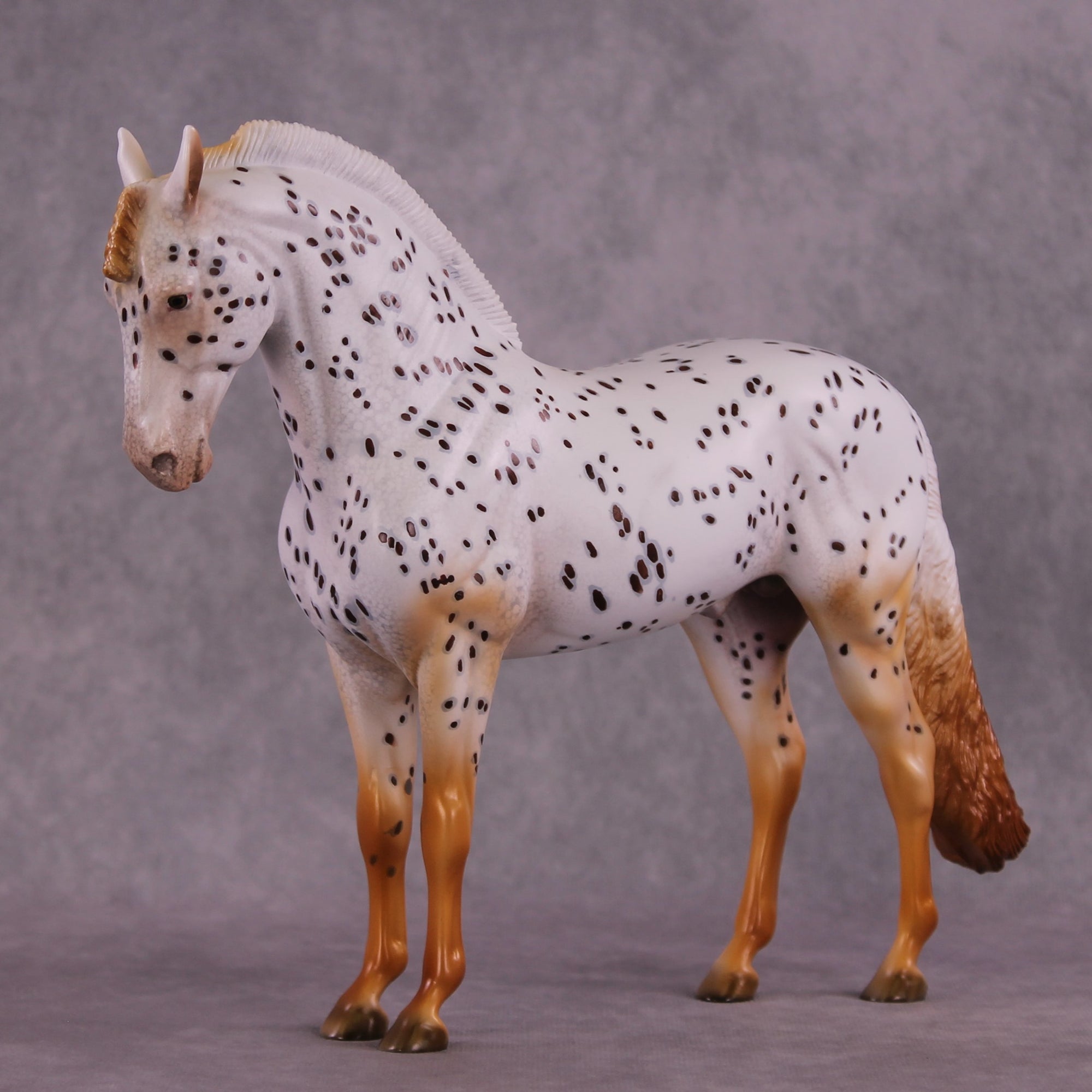 "Achiote" OOAK FCM Andalusian by Julie Keim EQ25