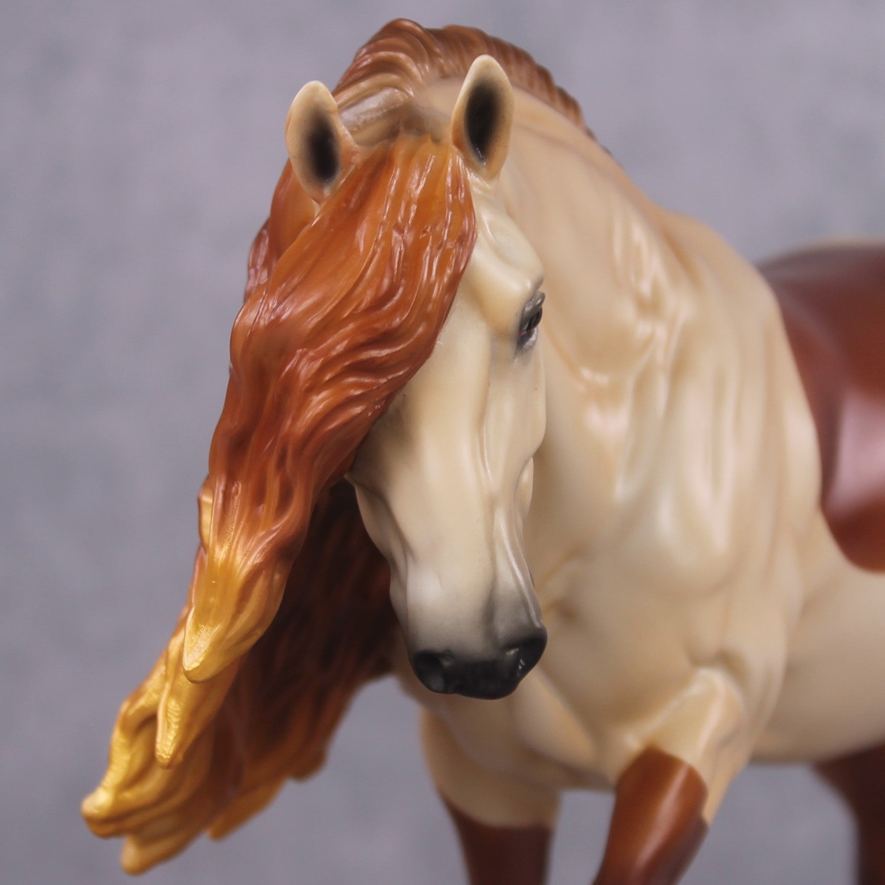 Irish Cob - Special St Patrick's Day/Mardi Gras Designs