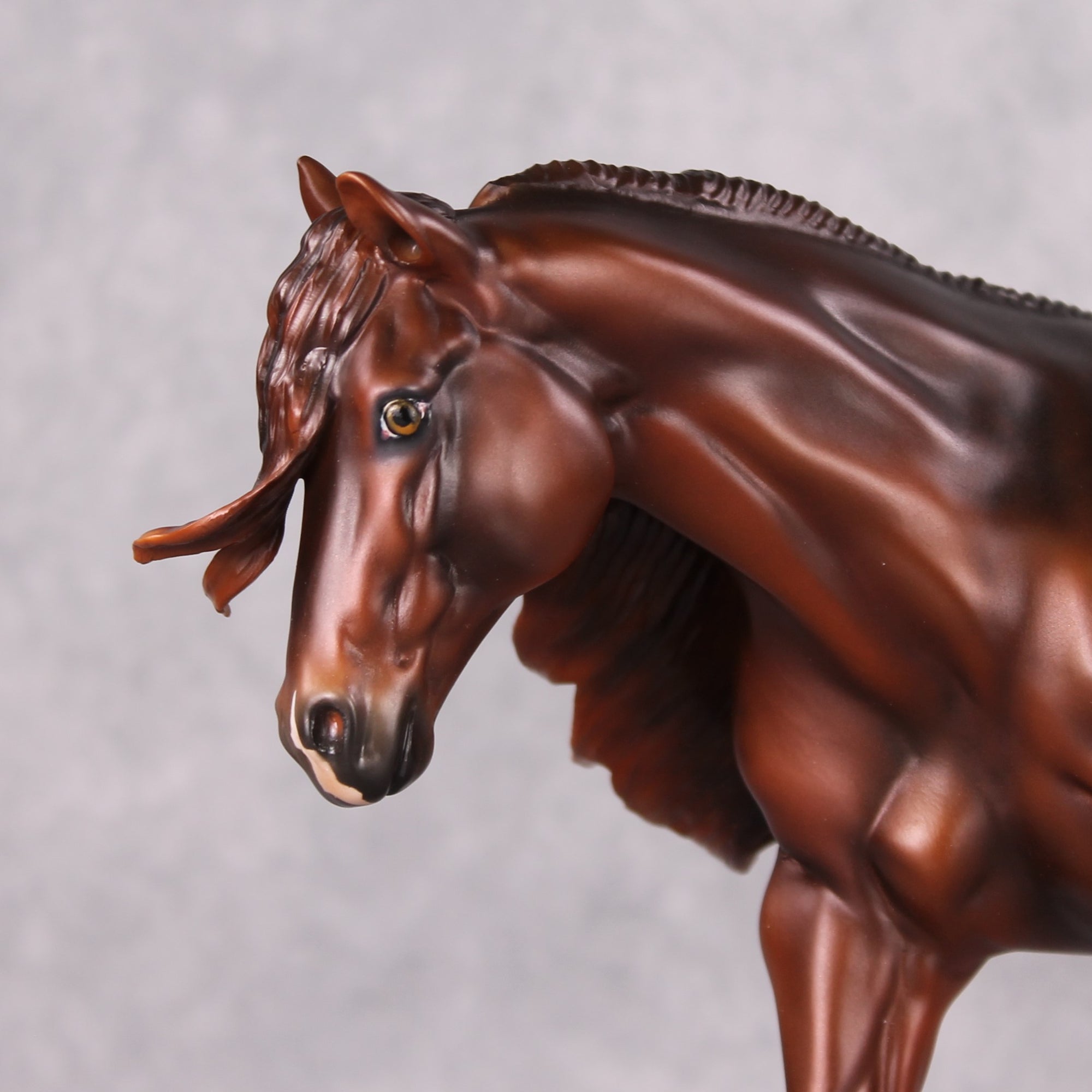 Farandi LE-15 Liver Chestnut Custom Running Stock Horse By Ashley Palmer Holiday Sale Run HS24