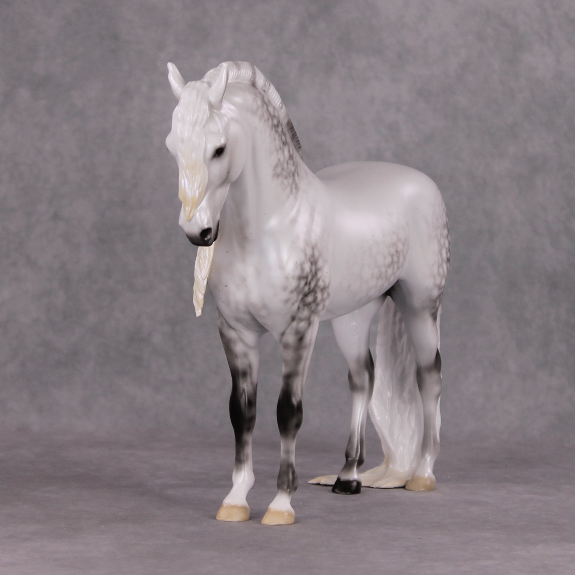 Dazzled Dream OOAK Light Dapple Pearl Grey W/ Blue Interference Andalusian By Ellen Robbins HS24 Online Drawing OOAK