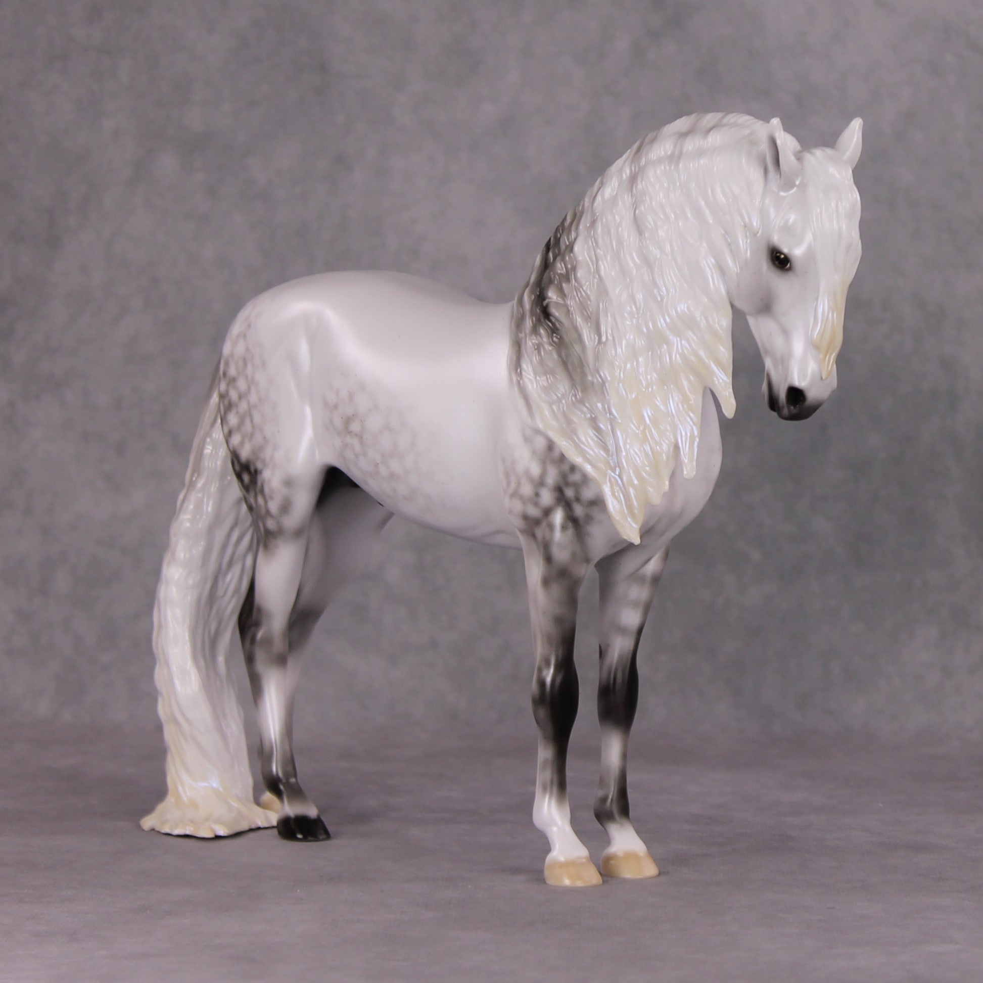 Dazzled Dream OOAK Light Dapple Pearl Grey W/ Blue Interference Andalusian By Ellen Robbins HS24 Online Drawing OOAK