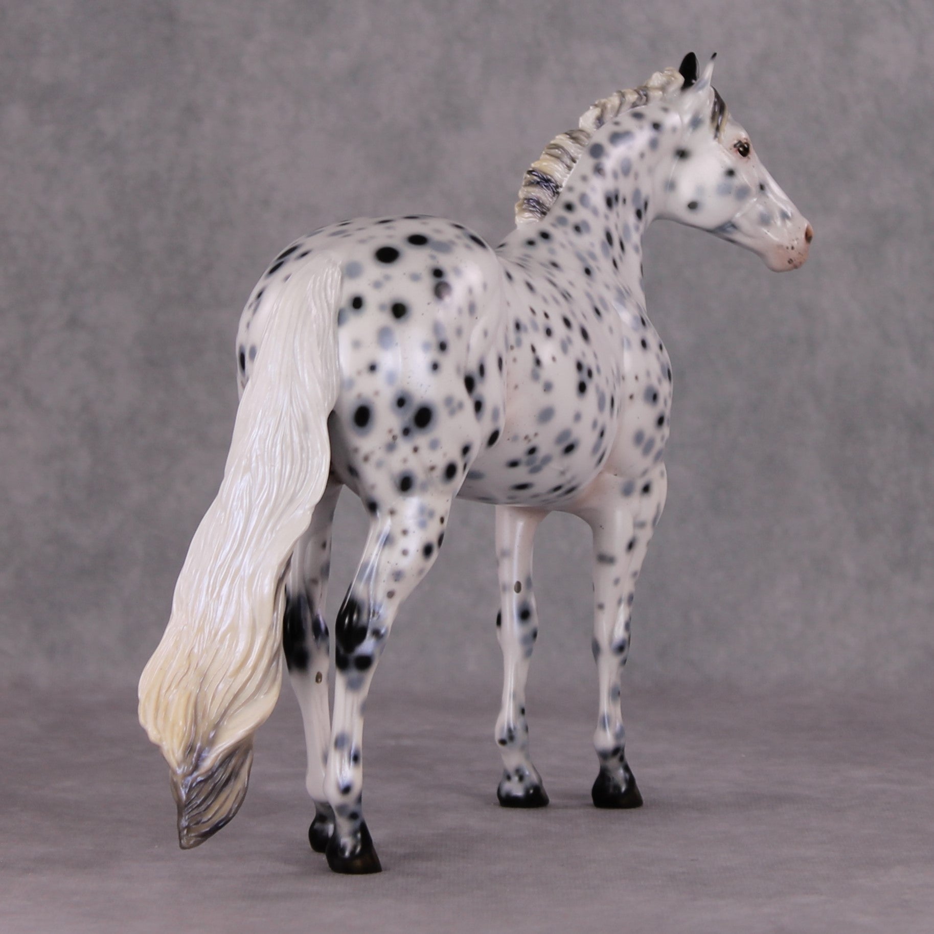 Cookiez 4 Santa OOAK Pearl Black Leopard Appaloosa W/ Blue Interference ISH By Ellen Robbins HS24 MHP Auction Piece