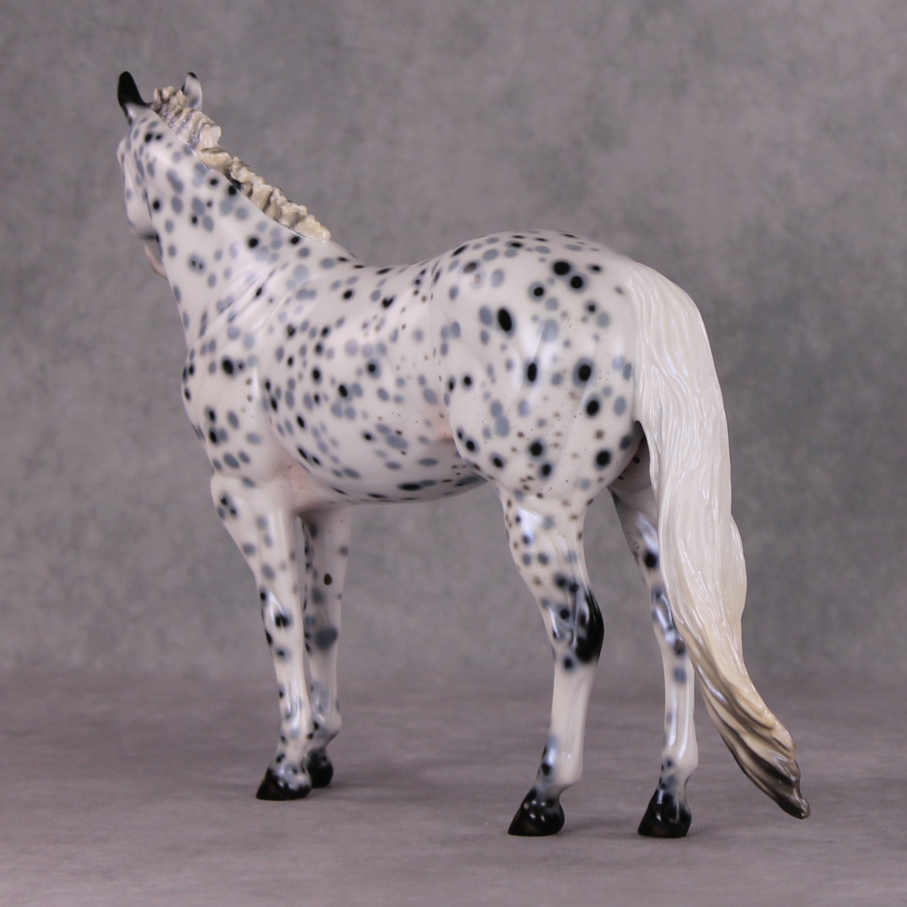 Cookiez 4 Santa OOAK Pearl Black Leopard Appaloosa W/ Blue Interference ISH By Ellen Robbins HS24 MHP Auction Piece