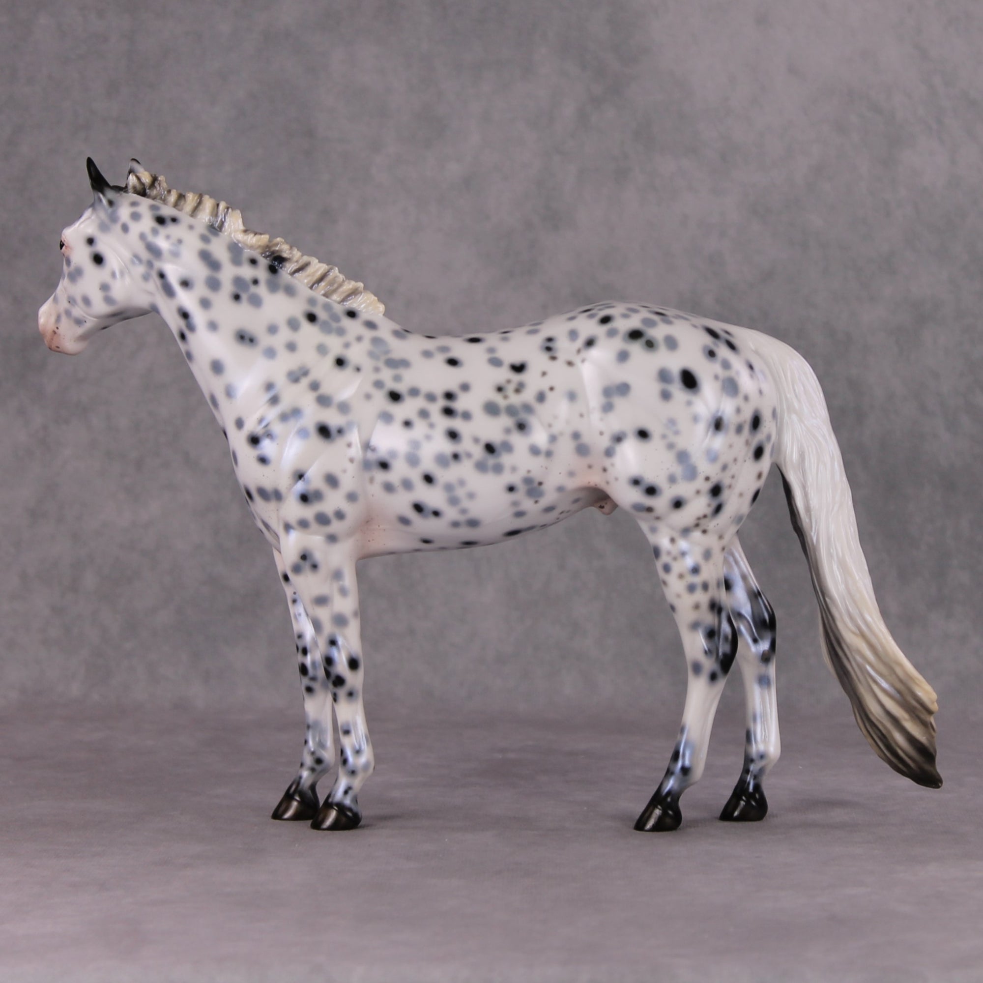 Cookiez 4 Santa OOAK Pearl Black Leopard Appaloosa W/ Blue Interference ISH By Ellen Robbins HS24 MHP Auction Piece