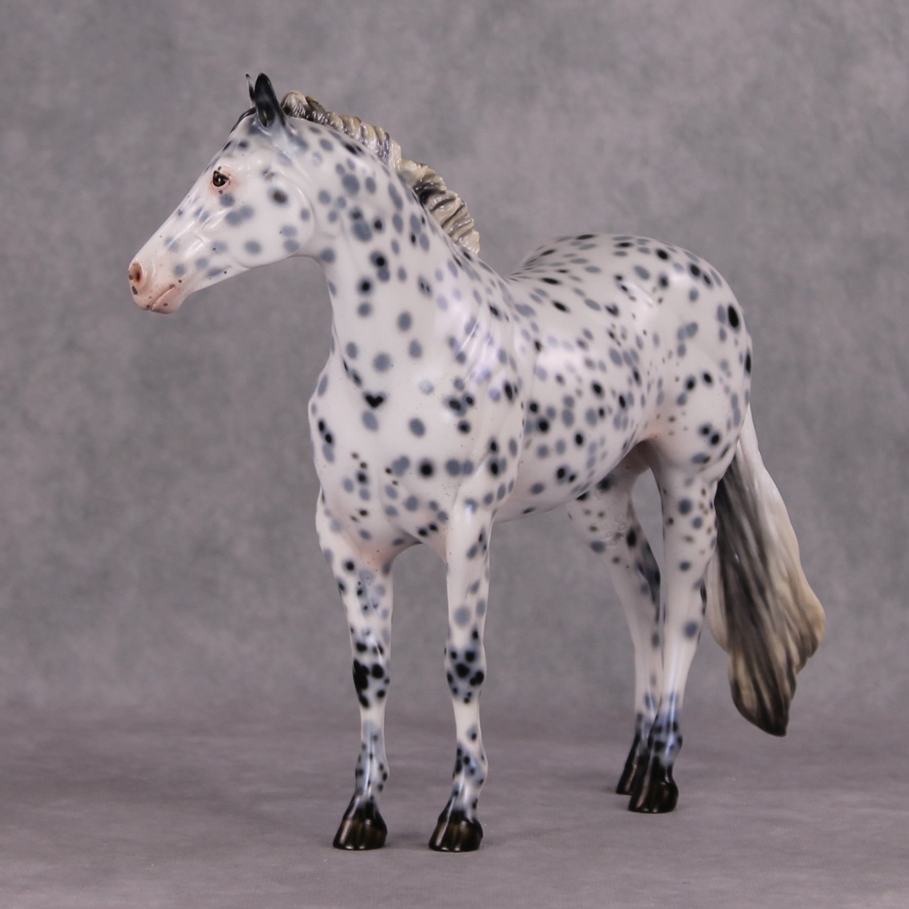Cookiez 4 Santa OOAK Pearl Black Leopard Appaloosa W/ Blue Interference ISH By Ellen Robbins HS24 MHP Auction Piece
