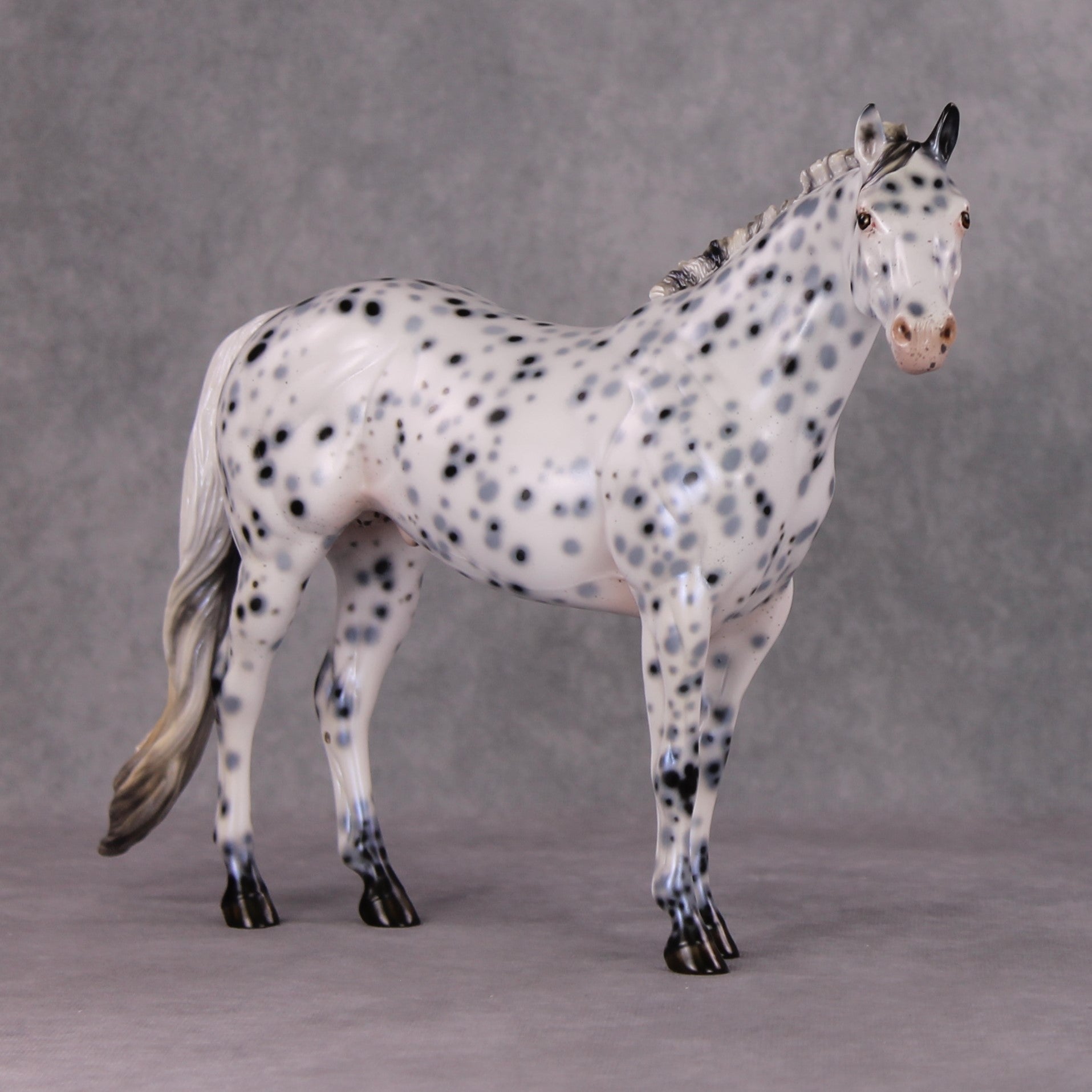 Cookiez 4 Santa OOAK Pearl Black Leopard Appaloosa W/ Blue Interference ISH By Ellen Robbins HS24 MHP Auction Piece