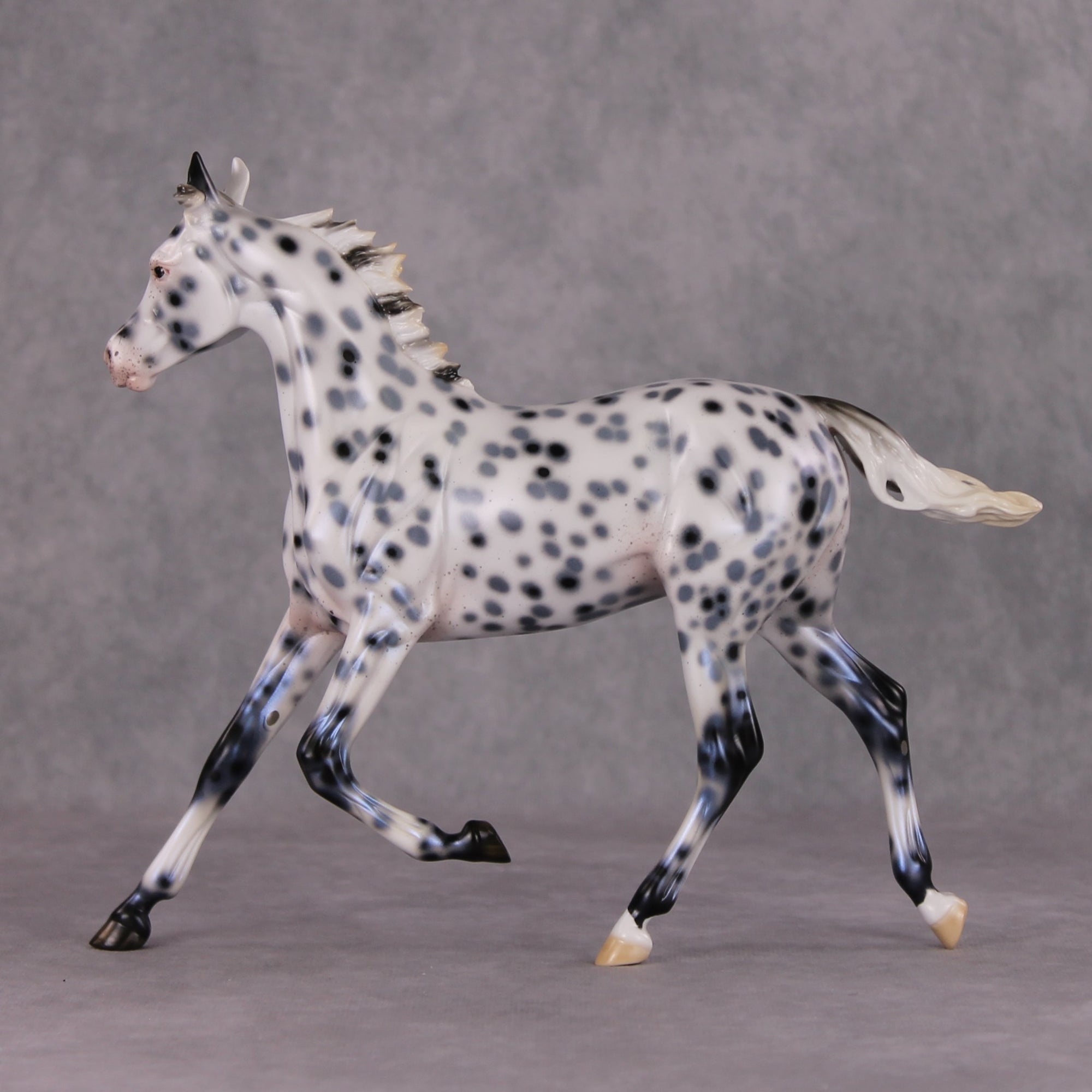 Black Ice OOAK Black Leopard Appaloosa Yearling By Ellen Robbins HS24