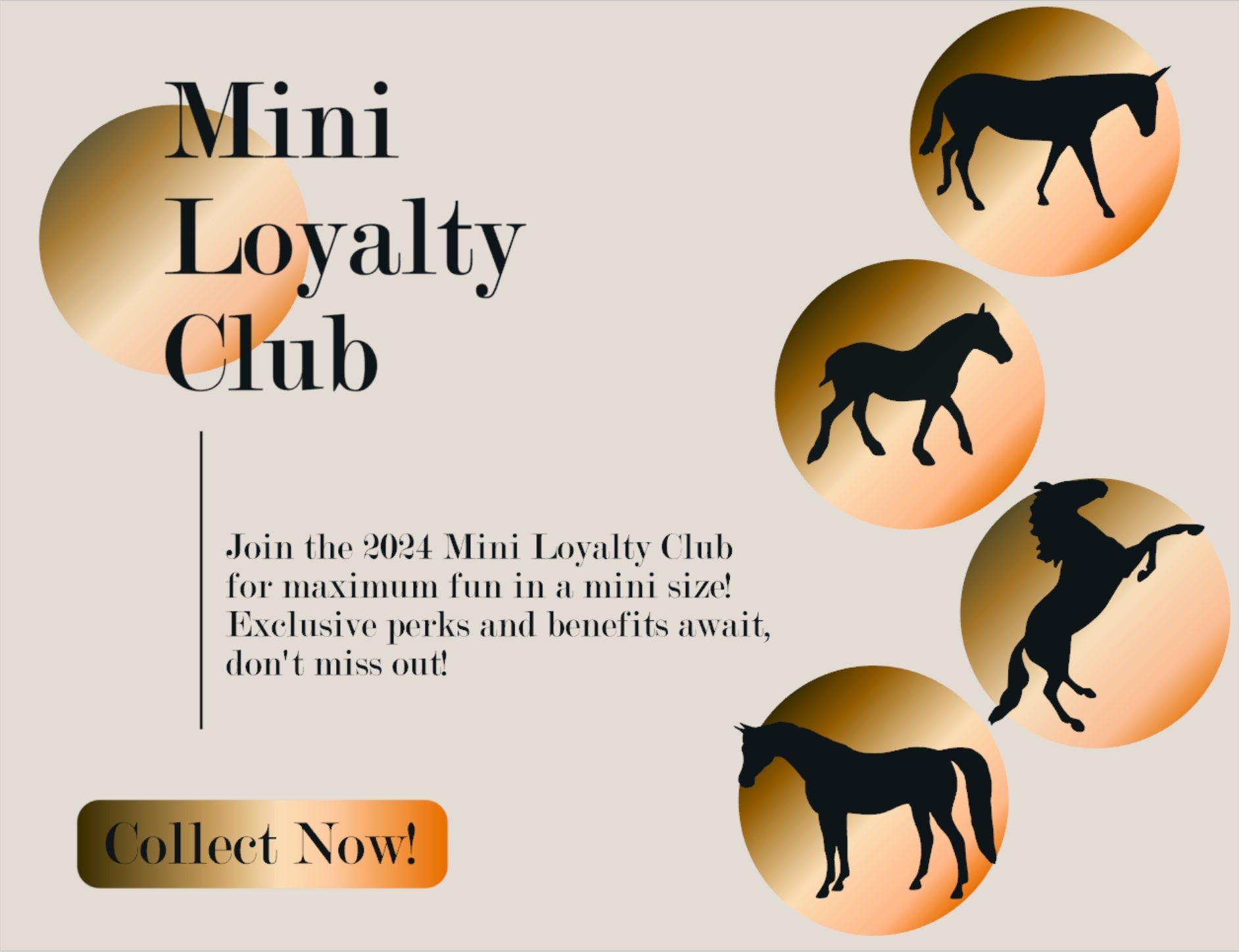 DISCOUNT CODES for 2024 Mini Loyalty Club